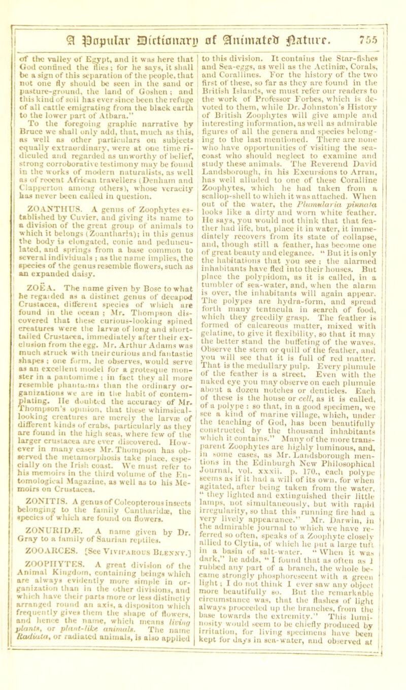I of tin; valley of Egypt, and it was here that I God confined the flies; for he says, it shall be a sign of this separation of the people, that I not one fly should be seen in the sand or J pasture-ground, the land of Goshen ; and this kind of soil has ever since been the refuge j of all cattle emigrating from the black earth to the lower part of Atbara.” i To the foregoing graphic narrative by Bruce we shall only add, that, much as this, as well as other particulars on subjects equally extraordinary, were at one time ri- I diculed and regarded as unworthy of belief, strong corroborative testimony may be found i in the works of modern naturalists, as well as of recent African travellers (Denham and Clapperton among others), whose veracity has never been called in question. ZOANTHUS. A genus of Zoophytes es- tablished by Cuvier, and giving its name to a division of the great group of animals to which it belongs (Zoantlmria); in this genus the body is elongated, conic and peduncu- lated, and springs from a base common to several individuals ; os the name implies, the 6pecies of the genus resemble flowers, such as an expanded daisy. ZOEA. The name given by Bose to what he regaided as a distinct genus of decapod Crustacea, different species of which are found in the ocean ; Mr. Thompson dis- covered that these curious-looking spined creatures were the larva; of long and short- tailed Crustacea, immediately after their ex- clusion from the egg. Mr. Arthur Adams whs ‘ much struck with tneircurious and fantastic shapes ; one form, lie observes, would serve as an excellent model for a grotesque mon- ster in a pantomime ; in fact they all more • resemble phantasms than the ordinary or- ganizations we are in the habit of contem- plating. He doubted the accuracy of Mr. ! Thompson’s opinion, that these whimsical- looking creatures are merely the larva; of j different kinds of crabs, particularly as they are found in the high seas, where few of the larger Crustacea are ever discovered. How- 1 ever in many cases Mr. Thompson has ob- served the metamorphosis take place, espe- • cially on the Irish coast. We must refer to his memoirs in the third volume of the En- tomological Magazine, as well as to his Me- i moirs on Crustacea. ZONITIS. A genus of Coleopterous insects ' belonging to the family Cunthnridae, the i species of which are found on flowers. ZONURIDAC. A name given by Dr. Gray to a family of Saurian reptiles. ZOOARCES. [See Viviparous Blexxy.] ZOOPHYTES. A great division of the Animal Kingdom, containing beings which are always evidently more simple in or- ganization than in the other divisions, and which have their parts more or less distinctly arranged round an axis, a dispositon which ' frequently gives them the shape of flowers, I and hence the name, whicli means living plantm, or plant-like unimalt. The name Uadiuta, or radiuted animals, is also applied to this division. It contains the Star-flslies J and Sea-eggs, as well as the Actiniae, Corals, ! and Corallines. For the history of the two ; first of these, so far as they are found in the British Islands, we must refer our readers to j the work of Professor Forbes, which is de- voted to them, while Dr. Johnston’s History j j of British Zoophytes will give ample and ; interesting information, as well a9 admirable j figures of all the genera and species belong- ; ing to the last mentioned. There are none i who have opportunities of visiting the sea- ] coast who should neglect to examine and i study these animals. The Reverend David j Landsborough, in his Excursions to Arran, has well alluded to one of these Coralline < Zoophytes, which he had taken from a 1 I scallop-shell to which it was attached. When ' out of the water, the Plumularia pinna fa i ' looks like a dirty and worn white feather. 1 He says, you would not think that that fea- I ther had life, but, place it in water, it imme- diately recovers from its state of collapse, and, though still a feather, has become one | of great beauty and elegance. “ But it is only | the habitations that you see; the alarmed ji j inhabitants have fled into their houses. But I! place the polypidom, us it is culled, in a • tumbler of sea-water, and, when the alarm ! | is over, the inhabitants will again appear. |! The polypes are hydra-form, and spread ' j forth many tentacula in search of food, | which they greedily grasp. The feather is j | formed of calcareous matter, mixed with I gelatine, to give it flexibility, so that it may j the better stand the buffeting of the waves. Observe the stem or quill of the feather, and you will see that it is full of red matter. That is the medullary pulp. Every plumule of the feather is a street. Even with the ! nuked eye you may observe on each plumule about a dozen notches or denticles. Each ! of these is the house or cell, as it is called, I of a polype : so that, in a good specimen, we j 6ce a kind of marine village, which, under | the teaching of God, has been beautifully I constructed by the thousand inhabitants which it contains.” Many of the more trans- parent Zoophytes are highly luminous, and, in some eases, as Mr. Landsborough men- tions in the Edinburgh New Philosophical Journal, vol. xxxii. p. 170., each polype seems as if it had u will of its own. for when agitated, after being taken from the water. “ l*»ey lighted and extinguished their little || lamps, not simultaneously, but with rapid irregularity, so that this running fire had a i very lively appearance.” Mr. Darwin, in i the admirable journal to which we have re- I, ferred so often, speaks of a Zoophyte closely j allied to Clytiu, of which lie put a large tuft >. in u basin of salt-water. “ When it was i! dark,” he adds, “ I found that as often as J rubbed any part of a branch, the whole be- j came strongly phosphorescent with a green j light; I do not think 1 ever saw any object more beautifully so. But the remarkable I, circumstance was, that the flashes of light always proceeded up the branches, from the || base towards the extremity.” This lumi- 1 nosity would seem to be chiefly produced by irritation, for living specimens have been ' kept for days in sea-water, and observed at