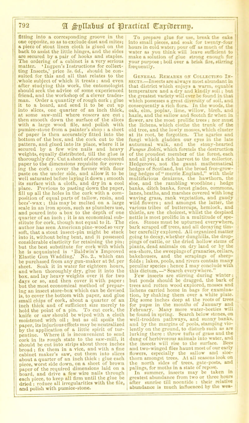 fitting into a corresponding groove in the one opposite, so as to exclude dust and mites; a piece of stout linen cloth is glued on the buck to assist the little hinges, and the sides are secured by a pair of hooks and staples. The ordering of a cabinet is a very serious matter. * Ingpen’s Instructions for collect- ting Insects,’ price 3s. Gd., should be con- sulted for this and all that relates to the .whole subject of which it treats ; and even after studying this work, the entomologist should seek the advice of some experienced friend, and the workshop of a clever trades- man. Order a quantity of rough cork ; glue it to a board, and send it to be cut up into slices, one quarter of an inch thick, at some saw-mill where veneers are cut ; then smooth down the surface of the slices with a large wood file, and polish with pumice-stune from a painter’s shop : a sheet of paper is then accurately fitted into the bottom of the box, and the cork cut to the pattern, and glued into its place, where it is secured by a few wire nails and heavy weights, equally distributed, till the glue is thoroughly dry. Cut a sheet of stone-coloured paper to the dimensions requisite for cover- ing the cork ; cover the former with flour paste on the under side, and allow it to be well saturated before laying it down ; smooth its surface with a cloth, and dry in a cool place. Previous to pasting down the paper, fill up all the holes in the cork with a com- position of equal parts of tallow, resin, and bees’-wax ; this may be melted on a large scale in an iron spoon, such as plumbers use, and poured into a box to the depth of one quarter of an inch ; it is an economical sub- stitute for cork, though not equal to it. The author has seen American pine-woodso very soft, that a stout insect-pin might be stuck into it, without being bent, and it possessed considerable elasticity for retaining the pin; but the best substitute for cork with which he is acquainted is ‘Baldwin’s Improved Elastic Gun Wadding,’ No. 2., which can be purchased from any gun-maker at 9d. per sheet. Soak it in water for eighteen hours, and when thoroughly dry, glue it into the box. and lay heavy weights over it for two days or so, and then cover it with paper; but the most economical method of prepar- ing an insect store-box which can be devised is, to cover the bottom with paper, aud glue small chips of cork, about a quarter of an inch thick and of sufficient size merely to hold the point of a pin. To cut cork, the knife or saw should be wiped with a cloth moistened with oil; but as oil spoils the paper, its injurious effects may be neutralized bv the application of a little spirit of tur- pentine. Where it is inconvenient to send cork in its rough state to the saw-mill, it should be cut into strips about three inches broad ; fix them in a vice, and with a fine cabinet maker’s saw, cut them into slices about a quarter of an inch thick ; glue each piece, worst side down, on a sheet of brown paper of the required dimensions laid on a board, and drive a few wire nails through each piece, to keep all firm until the glue be dried ; reduce all irregularities with the file, and polish with pumice-stone. To prepare glue for use, break the cake I into small pieces, and soak for twenty-tour hours in cold water; pour off as much of the J water as you think will leave sufficient to make a solution of glue strong enough for j your purpose ; boil over a brisk fire, stirring , frequently. General Remarks on Collecting In- sects.—Insects are always most abundant in 1 that district which enjoys a warm, equable temperature and a dry and kindly soil; but \ the greatest variety will ever be found in that j which possesses a great diversity of soil, and ’ consequently a rich flora. In the woods, the oak, elm, poplar, lime, willow, birch, and hazle, and the sallow and Scotch fir when in j flower, are the most prolific trees ; nor must the lichens, which clothe the trunk of the old tree, and the lowly mosses, which cluster at its root, be forgotten. The agarics and fungi which gladden our eyes in the late autumnal walk, and the stony-hearted Fungus Boleti, which foretels the destruction of the proudest member of the forest, each j and all yield a rich harvest to the collector. > Hedgerows, not the gaunt mathematical 1 hedges of Scotland, but the broad free-grow- : ing hedges of “merrie England, with their multifarious denizens, the hawthorn, the sloe, and the rambling woodbine; hedge banks, ditch banks, forest glades, commons, lanes, heaths, and marshes covered with long waving grass, rank vegetation, and gaudy ; wild flowers ; and amongst the latter, the 1 various tribes of buttercups, hemlock, and thistle, are the choicest, whilst the despised ; nettle is most prolific in a multitude of spe- cies. Stones must be upturned everywhere, j bark scraped off trees, aud all decaying tim- | her carefully explored. All organized matter 1 going to decay, whether dunghills, the drop- ,; pings of cattle, or the dried hollow stems of j plants, dead animals on dry land or by the : sea-shore, the sweepings of granaries, cellars, bakehouses, and the scrapings of sheep- j folds ; lakes, pools, and rivers contain many i peculiar species : hence I may conclude with this dictum, —“ Search everywhere. Few insects are stirring during winter; J but ponds should be dragged, the bark of ;| trees and rotten wood explored, mosses and ; lichens carried home in bags for examina- !, tion, by shaking them over a white plate. Dig some inches deep at the roots of trees for pupas in the months of January and February. Many more water-beetles will be found in spring. Search below stones, on well-trodden pathways, and sunny banks, and by the margins of pools, stamping vio- 11 lently on the ground, to disturb such os are jj lurking there : throw tufts of grass and the dung of herbivorous animals into water, and | the insects will rise to the surface. Bees 1 and two-winged flies haunt most of our early j flowers, especially the sallow and sloe- i thorn amongst trees. At all seasons look on the north sides of trees, gate-posts, and i palings, for moths in a state of repose. In summer, insects may be taken in j greatest abundance from two or three hours , after sunrise till noontide : their relative ; abundance is much influenced by the wca-