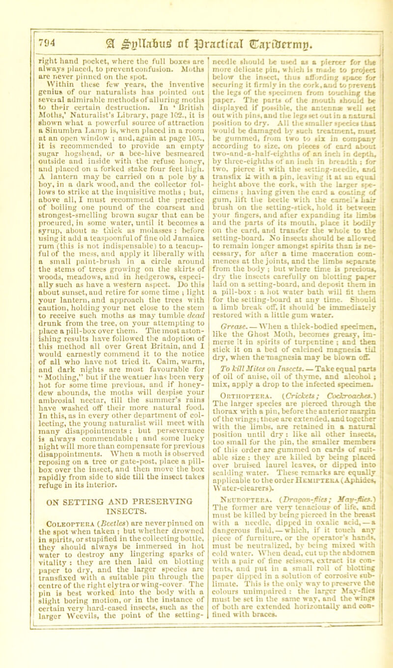 right hand pocket, where the full boxes are 1 always pluccd, to prevent confusion. Moths ! are never pinned on the spot. Within these few years, the inventive genius of our naturalists has pointed out fccveial admirable methods of alluring moths to their certain destruction. In * British Moths,’ Naturalist’s Library, page 102., it is shown what a powerful source of attraction a Sinumbrn Lamp is, when placed in a room at an open window ; and, again at page 105., it is recommended to provide an empty sugar hogshead, or a bee-hive besmeared outside and inside with the refuse honey, and placed on a forked stake four feet high. A lantern may be carried on a pole by a boy, in a dark wood, and the collector fol- lows to strike at the inquisitive moths ; but, above all, I must recommend the practice of boiling one pound of the coarsest and strongest-smelling brown sugar that can be procured, in some wnter, until it becomes a syrup, about at thick us molasses: before using it add a teaspoonful of line old Jamaica rum (this is not indispensable) to a teacup- ful of the mess, and apply it liberally with a small paint-brush in a circle around the stems of trees growing on the skirts of | woods, meadows, and in hedgerows, especi- ally such as have a western aspect. Do this about sunset, and retire for 6ome time ; light your lantern, and approach the trees with caution, holding your net close to the stem to receive such moths as may tumble dead j drunk from the tree, on your attempting to place a pill-box over them. The most aston- ishing results have followed the adoption of this method all over Great Britain, and I would earnestly commend it to the notice of all who have not tried it. Calm, warm, and dark nights are most favourable for “ Mothing,” but if the weatner has been very hot for some time previous, and if honey- dew abounds, the moths will despise your ambrosial nectar, till the summer’s rains have washed off their more natural food. In this, as in every other department of col- lecting, the young naturalist will meet with many disappointments; but perseverance is always commendable ; and some lucky night will more than compensate for previous disappointments. When a moth is observed reposing on a tree or gate-post, place a pill- box over the insect, and then move the box rapidly from side to side till the insect takes refuge in its interior. ON SETTING AND PRESERVING INSECTS. Coleopteua (Beetles') are never pinned on the spot when taken ; but whether drowned in spirits, or 6tupified in the collecting bottle, they should always be immersed in hot water to destroy any lingering sparks of vitality : they are then laid on blotting paper to dry, and the larger species are | transfixed with a suitable pin through the I centre of the right elytra or wing-cover The | pin is best worked into the body with a I slight boring motion, or in the instance of ! certain very hard-cased insects, such as the larger Weevils, the point of the setting- needle should l*e used as a piercer for the more delicate pin, which is made to project below the insect, thus affording space for 1 securing it firmly in the cork,and to prevent the legs of the specimen from touching the paper. The parts of the mouth should be displayed if possible, the antenna; well set out with pins, and the legs set out in a natural position to dry. All the smaller species that would be damaged by such treatment, must be gummed, from two to six in company according to size, on pieces of card about two-and-n-half-eighths of an inch in depth, by three-eighths of an inch in breadth : for two, pierce it with the setting-needle, and transfix it with a pin, leaving it at an equal i height above the cork, with the larger sj<e- ' citnens ; having given the card a coating of ' gum, lift the beetle with the camel's hair brush on the setting-stick, hold it between your fingers, and after expanding its limbs and the parts of its mouth, place it bodily on the card, and transfer the whole to the setting-board. No insects should be allowed to remain longer amongst spirits than is ne- cessary, for after a time maceration com- [ I mences at the joints, and the limbs separate from the body ; but where time is precious, dry the insects carefully ou blotting paper laid on a setting-board, and deposit them in a pill-box : a hot water bath will fit them for the setting-board at any time. Should a limb break off, it should be immediately restored with a little gum water. Grease. — When a thick-bodied specimen, like the Ghost Moth, becomes greasy, im- merse it in spirits of turpentine ; and then stick it on a bed of calcined magnesia till dry, when the magnesia may be blown oft To kill Mites on Insects. — Take equal parts of oil of anise, oil of thyme, and alcohol; mix, apply a drop to the infected specimen. Orthoptera. (Crickets; CocJa-oaches.) The larger species are pierced through the thorax with a pin, before the anterior margin of the mngs; these are extended, and together with the limbs, are retained in a natural position until dry : like all other insects, too small for the pin, the smaller members of this order are gummed on cards of suit- able size : they are killed by being placed , over bruised laurel leaves, or dipped into I scalding water. These remarks arc equally applicable to the order HtMirTEUA(Aphides, ' Water-clearers). Nkuroptep.a. (Drapon-flics; May-flies.) | The former are very tenacious* of life, and must be killed by being pierced in the breast with a needle, dipped in oxalic acid, —a dangerous fluid. — which, if it touch any piece of furniture, or the operator’s hands, must be neutralized, by Itcing mixed with cold water. When dead, cut up the abdomen j with a pair of fine scissors, extract its con- 1 tents, and put in a small roll of blotting j paper dipped in a solution of corrosive sub- limate. This is the only way to preserve the colours unimpaired : the larger May-flics | must l»c set in the same way, and the wings of both are extended horizontally and con- I lined with braces.