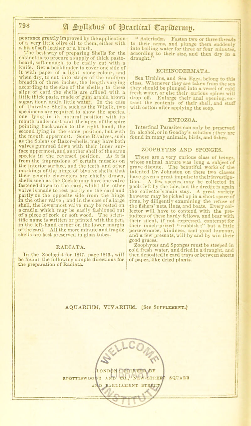 51 of ^Dractiral HLayQsetm}}. pcarance greatly improved by the application of a very little olive oil to them, either with a bit of soft leather or a brush. The best way of preparing Shells for the cabinet is to procure a supply of thick paste- board, soft enough to be easily cut with a knife. Get a bookbinder to cover one side of it with paper of a light stone colour, und when dry, to cut into strips of the uniform breadth of three inches, the length varying according to the size of the shells ; to these slips of card the shells are affixed with a little thick paste, made of gum arabie, brown sugar, flour, and a little water. In the case of Univalve Shells, such as the Whelk, two specimens are required to show the species, one lying in its natural position with its mouth undermost and the apex of the spire pointing backwards to the right hand, the second lying in the same position, but with the mouth uppermost. Some Bivalves, such as the Solens or Razor-shells, may have both valves gummed down with their inner sur- face uppermost, and another shell of the same species in the reversed position. As it is front the impressions of certain muscles on the interior surface, and the teeth und other markings of the hinge of bivalve shells, that their generic characters are chiefly drawn, shells such ns the Cockle may have one valve fastened down to the curd, whilst the other valve is made to rest partly on the card and partly on the opposite side from the hinge in the other valve ; and in the case of a large shell, the lowermost valve may be rested on a cradle, which may be easily fashioned out of a piece of cork or softwood. The scien- tific name is written or printed with the pen, in the left-hand corner on the lower margin of the card. All the more minute and fragile shells are best preserved iu glass tubes. RADI AT A. In the Zoologist for 1847. page 1849., will be found the following simple directions for the preparation of Radiata. “ Asteriadae. Fasten two or three threads to their arms, and plunge them suddenly into boiling water for three or four minute*, according to their size, and then drv in a draught/’ ECITTN’ODERMATA. Sea Urchins, and Sea Eggs, belong to thi« class. Whenever they are taken from the *ea they should be plunged into a vessel of cold fresh water, or else their curiou* spine* will drop off. Enlarge their anal opening, ex- tract the contents of their shell, and stuff with cotton after applying the soap. ENTOZOA. Intestinal Parasites can only be preserved in alcohol, or in Goadby’e solution : they arc- found in many animals, birds, and fishes. ZOOPHYTES AND SPONGES. These are a very curious class of being*, whose animal nature was long a subject of : grave dispute. The beautiful works of the talented Dr. Johnston on these two classes have given a great impulse to their investiga- tion. A few species may be collected in pools left by the tide, but the dredge is again the collector’s main stay. A great variety however may be picked up in a short space of time, by diligently examining the refuse of the fishers’ nets, lines, and boats. Every col- lector will have to contend with the pre- judices of these hardy fellows, and bear with their silent, if not expressed, contempt for their much-prized “ rubbish but a little perseverance, kindness, and good humour, and a few presents, will by and by win their good graces. Zoophytes and Sponges must be steeled in cold fresh water, and dried in a draught, and then deposited in card trays or between sheets of paper, like dried plants. AQUARIUM, VIVARIUM. [Sec ScrrutMfrr.}