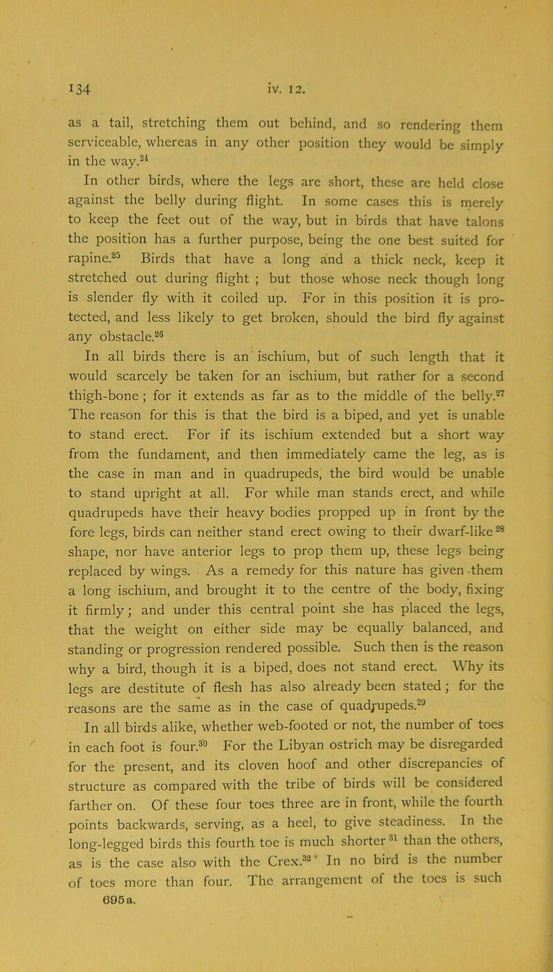 as a tail, stretching them out behind, and so rendering them serviceable, whereas in any other position they would be simply in the way.^‘ In other birds, where the legs are short, these are held close against the belly during flight. In some ca.ses this is merely to keep the feet out of the way, but in birds that have talons the position has a further purpose, being the one best suited for rapine.®^ Birds that have a long and a thick neck, keep it stretched out during flight ; but those whose neck though long is slender fly with it coiled up. For in this position it is pro- tected, and less likely to get broken, should the bird fly against any obstacle.^® In all birds there is an ischium, but of such length that it would scarcely be taken for an ischium, but rather for a second thigh-bone ; for it extends as far as to the middle of the belly.^ The reason for this is that the bird is a biped, and yet is unable to stand erect. For if its ischium extended but a short way from the fundament, and then immediately came the leg, as is the case in man and in quadrupeds, the bird would be unable to stand upright at all. For while man stands erect, and while quadrupeds have their heavy bodies propped up in front by the fore legs, birds can neither stand erect owing to their dwarf-like^ shape, nor have anterior legs to prop them up, these legs being replaced by wings. As a remedy for this nature has given them a long ischium, and brought it to the centre of the body, fixing it firmly; and under this central point she has placed the legs, that the weight on either side may be equally balanced, and standing or progression rendered possible. Such then is the reason why a bird, though it is a biped, does not stand erect. Why its legs are destitute of flesh has also already been stated ; for tlie reasons are the same as in the case of quad/upeds.*® In all birds alike, whether web-footed or not, the number of toes in each foot is four.®'’ For the Libyan ostrich may be disregarded for the present, and its cloven hoof and other discrepancies of structure as compared with the tribe of birds will be considered farther on. Of these four toes three are in front, while the fourth points backwards, serving, as a heel, to give steadiness. In the long-legged birds this fourth toe is much shorter than the others, as is the case also with the Crex.®®’ In no bird is the number of toes more than four. The arrangement of the toes is such 605a.