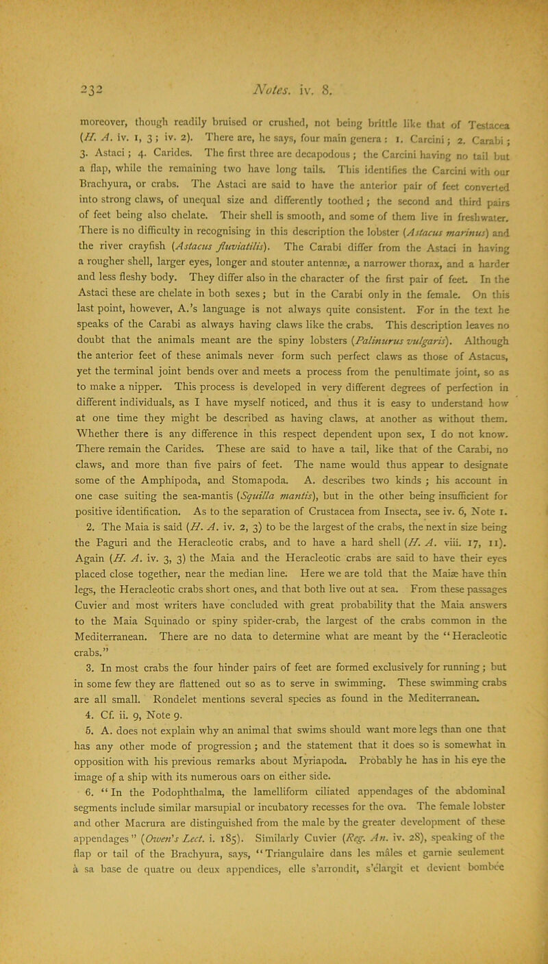 moreover, though readily bruised or crushed, not being brittle like that of Testacea (//. A. iv. I, 3 ; iv. 2). There are, he say.s, four m.ain genera : l. Carcini; 2. Carabi ; 3. Astaci; 4. Carides. The first three are decapodous ; the Carcini liaving no tail but a flap, while the remaining two have long tails. This identifies the Carcini with our Brachyura, or crabs. The Astaci are said to have the anterior pair of feet converted into strong claws, of unequal size and diflerently toothed; the second and third pairs of feet being also chelate. Their shell is smooth, and some of them live in freshwater. There is no difficulty in recognising in this description the lobster (Aslacus tnarinus) and the river crayfish (Asiacus fluviatilis). The Carabi differ from the Astaci in having a rougher shell, larger eyes, longer and stouter antennaj, a narrower thorax, and a harder and less fleshy body. They differ also in the character of the first pair of feet. In the Astaci these are chelate in both sexes; but in the Carabi only in the female. On this last point, however, A.’s language is not always quite consistent. For in the text he speaks of the Carabi as always having claws like the crabs. This description leaves no doubt that the animals meant are the spiny lobsters {Palinurus vulgaris). Although the anterior feet of these animals never form such perfect claws as those of Astacus, yet the terminal joint bends over and meets a process from the penultimate joint, so as to make a nipper. This process is developed in very different degrees of perfection in different individuals, as I have myself noticed, and thus it is easy to understand how at one time they might be described as having claws, at another as without them. Whether there is any difference in this respect dependent upon sex, I do not know. There remain the Carides. These are said to have a tail, like that of the Carabi, no claws, and more than five pairs of feet. The name would thus appear to designate some of the Amphipoda, and Stomapoda. A. describes two kinds ; his account in one case suiting the sea-mantis {Squilla mantis), but in the other being insufiicient for positive identification. As to the separation of Crustacea from Insecta, see iv. 6, Note l. 2. The Maia is said {H. A. iv. 2, 3) to be the largest of the crabs, the next in size being the Paguri and the Heracleotic crabs, and to have a hard shell (zy. A. viii. 17, ii). Again (H. A. iv. 3, 3) the Maia and the Heracleotic crabs are said to have their eyes placed close together, near the median line. Here we are told that the Maiae have thin legs, the Heracleotic crabs short ones, and that both live out at sea. From these passages Cuvier and most writers have concluded with great probability that the Maia answers to the Maia Squinado or spiny spider-crab, the largest of the crabs common in the Mediterranean. There are no data to determine what are meant by the “Heracleotic crabs.” 3. In most crabs the four hinder pairs of feet are formed exclusively for running; but in some few they are flattened out so as to serve in swimming. These swimming crabs are all small. Rondelet mentions several species as found in the Mediterranean. 4. Cf. ii. 9, Note 9. 5. A. does not explain why .an animal that swims should want more legs than one that has any other mode of progression ; and the statement that it does so is somewhat in opposition with his previous remarks about Myriapoda. Probably he has in his eye the image of a ship with its numerous oars on either side. 6. “ In the Podophthalma, the lamelliform ciliated appendages of the abdominal segments include similar marsupial or incubatory recesses for the ova. The female lobster and other Macrura are distinguished from the male by the greater development of these appendages” {Oiven's Lect. i. 185). Similarly Cuvier {.Reg. An. iv. 28), spe.aking of the flap or tail of the Brachyura, says, “ Triangulaire dans les males et ganiie seulement a sa base de quatre ou deux appendices, elle s’arrondil, sVdat^it et devient bombce