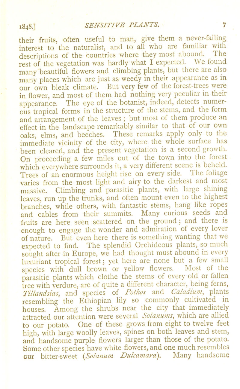 1848.] their fruits, often useful to man, give them a never-failing interest to the naturalist, and to all who are familiar w'ith descriptions of the countries where they most abound. The rest of the vegetation was hardly what I expected. We found many beautiful flowers and climbing plants, but there are also many places which are just as weedy in their appearance as in our own bleak climate. But very few of the forest-trees were in flower, and most of them had nothing very peculiar in their appearance. The eye of the botanist, indeed, detects numer- ous tropical forms in the structure of the stems, and the form and arrangement of the leaves ; but most of them produce an effect in the landscape remarkably similar to that of our own oaks, elms, and beeches. These remarks apply only to the immediate vicinity of the city, where the whole surface has been cleared, and the present vegetation is a second growth. On proceeding a few miles out of the town into the forest which everywhere surrounds it, a very different scene is beheld. Trees of an enormous height rise on every side. The foliage varies from the most light and airy to the darkest and most massive. Climbing and parasitic plants, with large shining leaves, run up the trunks, and often mount even to the highest branches, while others, with fantastic stems, hang like ropes and cables from their summits. Many curious seeds and fruits are here seen scattered on the ground; and there is enough to engage the wonder and admiration of every lover of nature. But even here there is something wanting that we expected to find. The splendid Orchideous plants, so much sought after in Europe, we had thought must abound in eveiy luxuriant tropical forest; yet here are none but a few small species with dull brown or yellow flowers. Most of the parasitic plants which clothe the stems of every old or fallen tree with verdure, are of quite a different character, being ferns, Tillandsias, and species of Fothos and Caladium, plants resembling the Ethiopian lily so commonly cultivated in houses. Among the shrubs near the city that immediately attracted our attention were several Solantwis, which are allied to our potato. One of these grows from eight to twelve feet high, with large woolly leaves, spines on both leaves and stem, and handsome purple flowers larger than those of the potato. Some other species have white flowers, and one much resembles our bitter-sweet {Solanuni Dulcamara). Many handsome