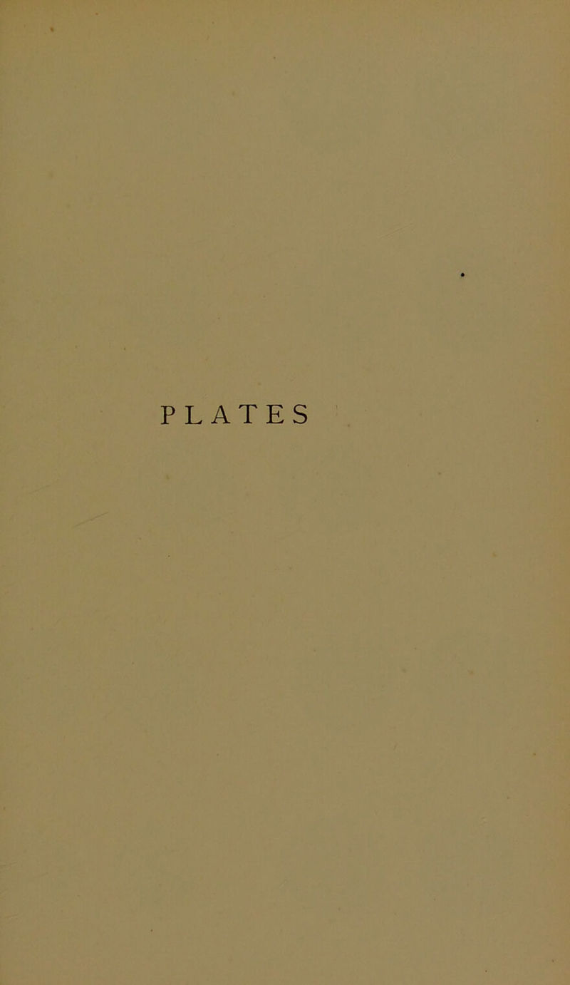 PLATES