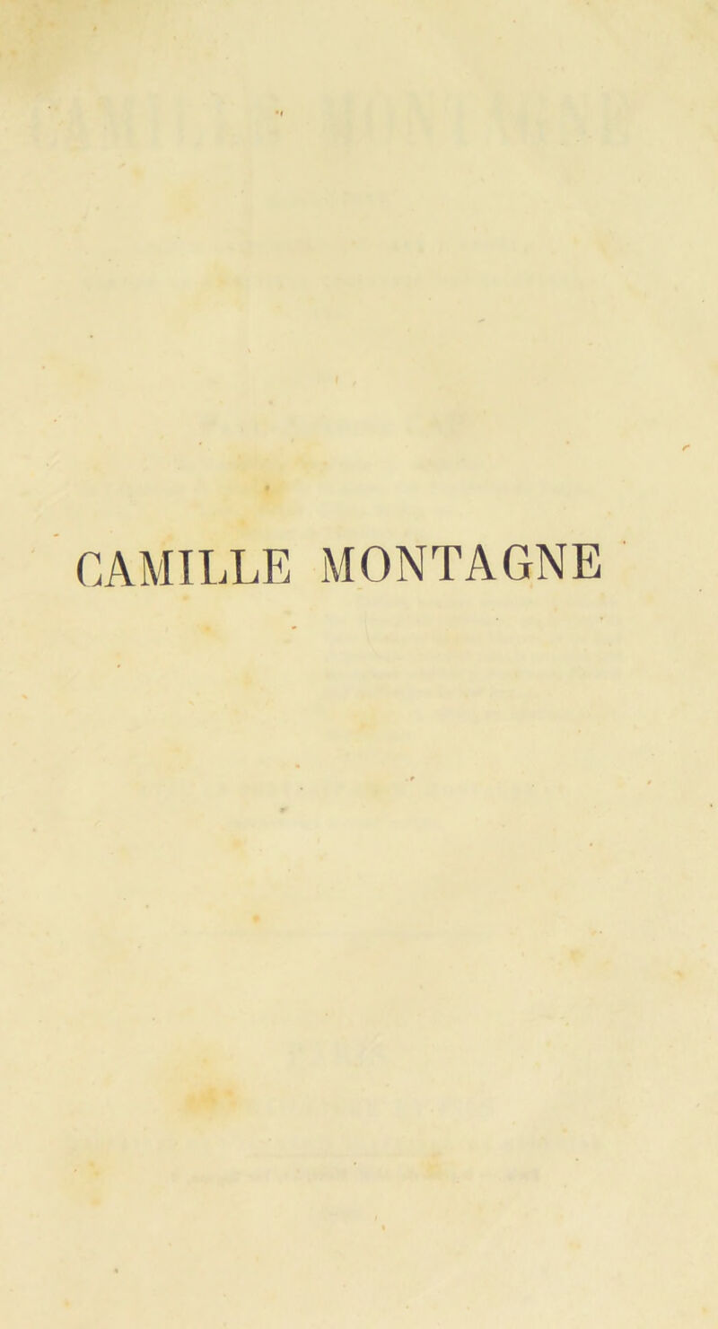 CAMILLE MONTAGNE