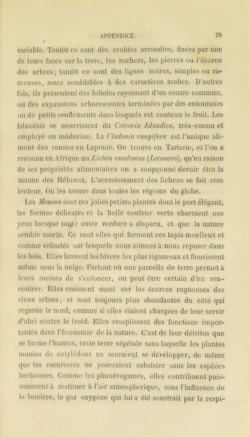 variable. Tantôt ce sont des croûtes arrondies, fixées par une de leurs faces sur la terre, les rochers, les pierres ou l’écorce des arbres; tantôt ce sont des lignes noires, simples ou ra- meuses, assez semblables à des caractères arabes. D’autres fois, ils présentent des folioles rayonnant d’un centre commun, ou des expansions arborescentes terminées par des entonnoirs onde petits renflements dans lesquels est contenu le fruit. Les Islandais se nourrissent du Cetraria Islandica, très-connu et employé en médecine. La Cladonia rangifera est l’unique ali- ment des rennes en Laponie. On trouve en Tartarie, et l’on a reconnu en Afrique un Lichen esculentus (Lccunora), qu’en raison de ses propriétés alimentaires on a soupçonné devoir être la manne des Hébreux. L’accroissement des lichens se Lût avec lenteur. On les trouve dans toutes les régions du globe. Les Mousses sont ces jolies petites plantes dont le port élégant, les formes délicates et la belle couleur verte charment nos yeux lorsque toute autre verdure a disparu, et que la nature semble morte. Ce sont elles qui forment ces tapis moelleux et comme veloutés sur lesquels nous aimons à nous reposer dans les bois. Elles bravent les hivers les plus rigoureux et fleurissent même sous la neige. Partout où une parcelle de terre permet à leurs racines de s’enfoncer, on peut être certain d’en ren- contrer. Elles croissent -aussi sur les écorces rugueuses des vieux arbres, et sont toujours plus abondantes du côté qui regarde le nord, comme si elles étaient chargées de leur servir d’abri contre le froid. Elles remplissent des fonctions impor- tantes dans l’économie de la nature. C’est de leur détritus que se forme l’humus, cette terre végétale sans laquelle les plantes munies de cotylédons ne sauraient se développer, de môme que les carnivores ne pourraient subsister sans les espèces herbivores. Comme les phanérogames, elles contribuent puis- samment à restituer à l’air atmosphérique, sous l’influence de la lumière, le gaz oxygène qui lui a été soustrait par la respi-