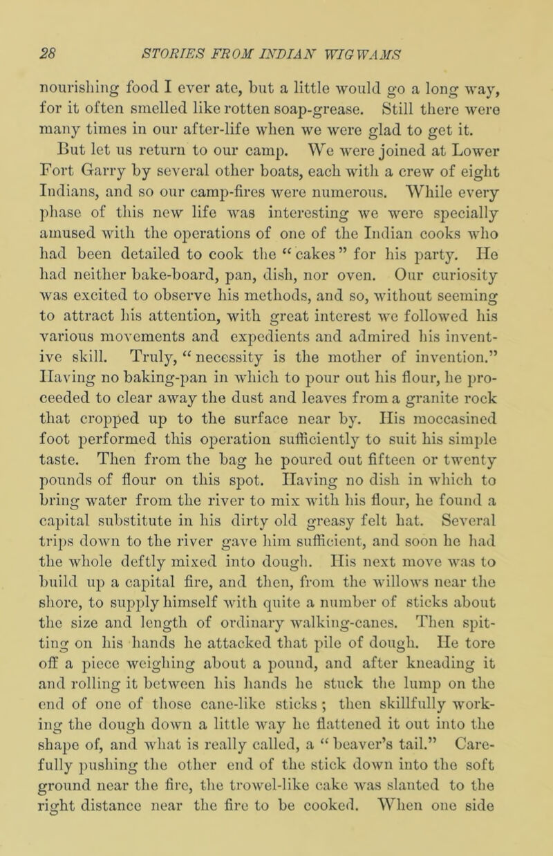 nourishing food I ever ate, but a little would go a long way, for it often smelled like rotten soap-grease. Still there were many times in our after-life when we were glad to get it. But let us return to our camp. We were joined at Lower Fort Garry by several other boats, each with a crew of eight Indians, and so our camp-fires were numerous. While every phase of this new life was interesting we were specially amused with the operations of one of the Indian cooks who had been detailed to cook the “cakes” for his party. Ho had neither bake-board, pan, dish, nor oven. Our curiosity was excited to observe his methods, and so, without seeming to attract his attention, with great interest we followed his various movements and expedients and admired his invent- ive skill. Truly, “ necessity is the mother of invention.” Having no baking-pan in which to pour out his flour, he pro- ceeded to clear away the dust and leaves from a granite rock that cropped up to the surface near by. His moccasined foot performed this operation sufficiently to suit his simple taste. Then from the bag he poured out fifteen or twenty pounds of flour on this spot. Having no dish in which to bring water from the river to mix with his flour, he found a capital substitute in his dirty old greasy felt hat. Several trips down to the river gave him sufficient, and soon he had the whole deftly mixed into dough. His next move was to build up a capital fire, and then, from the willows near the shore, to supply himself with quite a number of sticks about the size and length of ordinary walking-canes. Then spit- ting on his hands he attacked that pile of dough. He tore off a piece weighing about a pound, and after kneading it and rolling it between his hands he stuck the lump on the end of one of those cane-like sticks ; then skillfully work- ing the dough down a little way he flattened it out into the shape of, and what is really called, a “ beaver’s tail.” Care- fully pushing the other end of the stick down into the soft ground near the fire, the trowel-like cake was slanted to the rmht distance near the fire to be cooked. When one side O