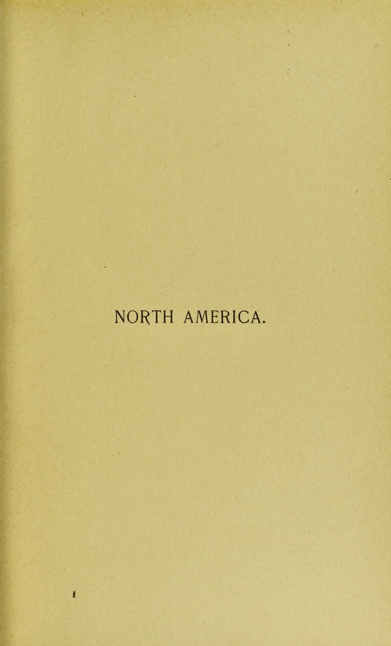 NORTH AMERICA.