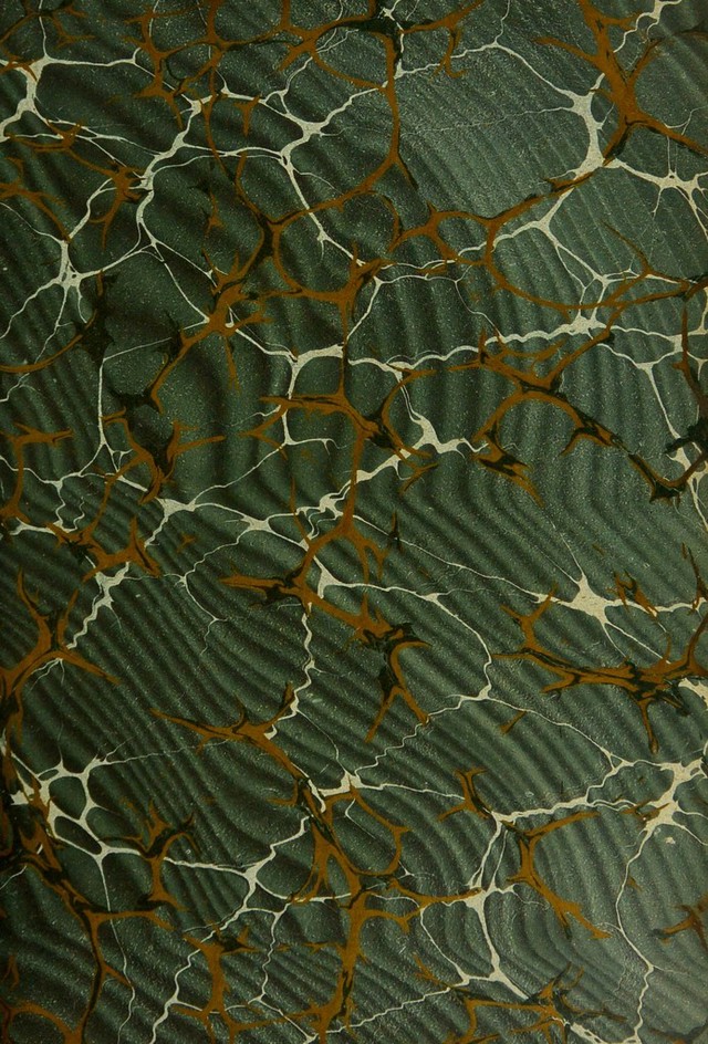 No text description is available for this image