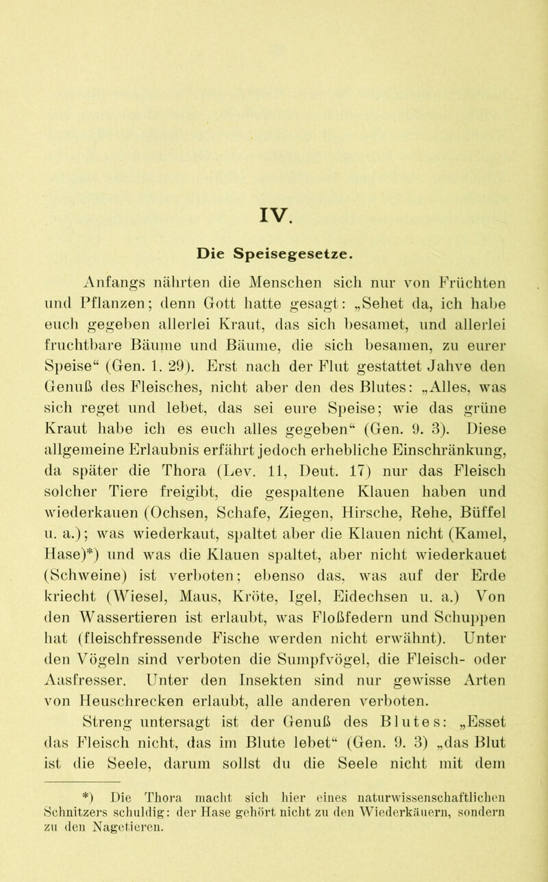 Die Speisegesetze. Anfangs nährten die Menschen sich nur von Früchten und Pflanzen; denn Gott hatte gesagt: „Sehet da, ich habe euch gegeben allerlei Kraut, das sich besamet, und allerlei fruchtbare Bäume und Bäume, die sich besamen, zu eurer Speise“ (Gen. 1. 29). Erst nach der Flut gestattet Jahve den Genuß des Fleisches, nicht aber den des Blutes: „Alles, was sich reget und lebet, das sei eure Speise; wie das grüne Kraut habe ich es euch alles gegeben“ (Gen. 9. 3). Diese allgemeine Erlaubnis erfährt jedoch erhebliche Einschränkung, da später die Thora (Lev. 11, Deut. 17) nur das Fleisch solcher Tiere freigibt, die gespaltene Klauen haben und Wiederkauen (Ochsen, Schafe, Ziegen, Hirsche, Rehe, Büffel u. a.); was wiederkaut, spaltet aber die Klauen nicht (Kamel, Hase)*) und was die Klauen spaltet, aber nicht Aviederkauet (SchAveine) ist verboten; ebenso das, Avas auf der Erde kriecht (Wiesel, Maus, Kröte, Igel, Eidechsen u. a.) Von den Wassertieren ist erlaubt, Avas Floßfedern und Schuppen hat (fleischfressende Fische Averden nicht erwähnt). Unter den Vögeln sind verboten die Sumpfvögel, die Fleisch- oder Aasfresser. Unter den Insekten sind nur geAvisse Arten von Heuschrecken erlaubt, alle anderen Amrboten. Streng untersagt ist der Genuß des Blutes: „Esset das Fleisch nicht, das im Blute lebet“ (Gen. 9. 3) „das Blut ist die Seele, darum sollst du die Seele nicht mit dem *) Die Thora macht sich hier eines naturwissenschaftlichen Schnitzers schuldig: der Hase gehört nicht zu den Wiederkäuern, sondern zu den Nagetieren.