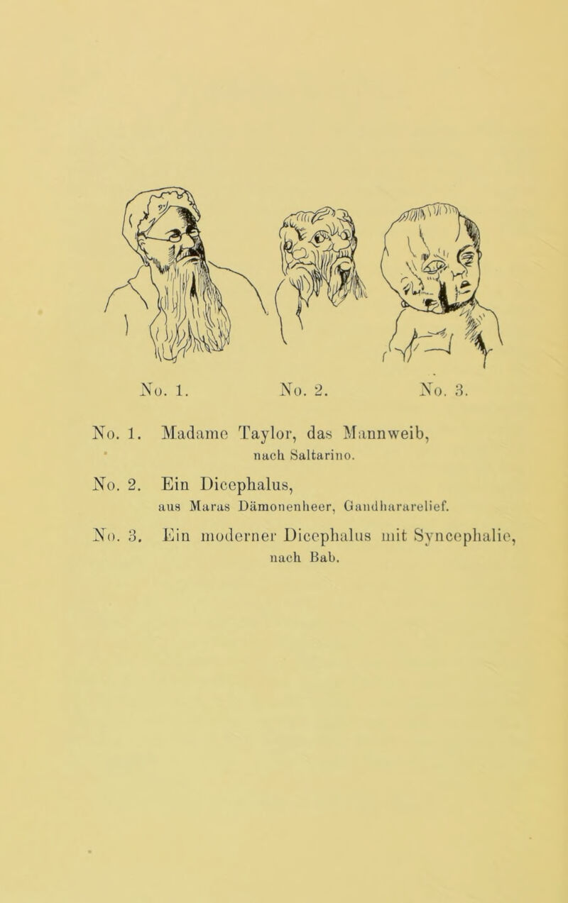 No. 1. Madamo Taylor, das Mannweib, nach Öaltarino. No. 2. Ein Dicephalus, aus Maras Dämonenlieer, Gaiulharurelief. No. 3. Ein moderner Diceplialus mit Synceplialio, nach Bab.