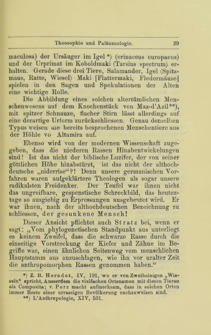 maculosa) der Ursäuger im Igel *) (erinaceus europaeus) und der Urprimat im Koboldmaki (Tarsius spectrum) er- halten. Gerade diese drei Tiere, Salamander, Igel (Spitz- maus, Ratte, Wiesel) Maki [Plattermaki, Fledermäuse] spielen in den Sagen und Spekulationen der Alten eine wichtige Rolle. Die Abbildung eines solchen altertümlichen Men- schenwesens auf dem Knochenstück von Maz-d’Azil**), mit spitzer Schnauze, flacher Stirn lässt allerdings auf eine derartige Urform zurückschliessen. Genau denselben Typus weisen aie bereits besprochenen Menschentiere aus der Höhle vo Altamira auf. Ebenso wird von der modernen Wissenschaft zuge- geben, dass die niederen Rassen Hinabentwickelungen sind! Ist das nicht der biblische Luzifer, der von seiner göttlichen Höhe hinabstürzt, ist das nicht der althoch- deutsche „niderrise“ ?! Denn unsere germanischen Vor- fahren waren aufgeklärtere Theologen als sogar unsere radikalsten Freidenker. Der Teufel war ihnen nicht das ungreifbare, gespenstische Schreckbild, das heutzu- tage so ausgiebig zu Erpressungen ausgebentet wird. Er war ihnen, nach der althochdeutschen Bezeichnung zu schliessen, der gesunkene Mensch! Dieser Ansicht pflichtet auch St ratz bei, wenn er sagt: „Vom phylogenetischen Standpunkt aus unterliegt es keinem Zweifel, dass die schwarze Rasse durch die einseitige Verstreckung der Kiefer und Zähne im Be- griöe war, einen ähnlichen Seitenweg vom menschlichen Hauptstamm aus anzuschlagen, wie ihn vor uralter Zeit die anthropomorphen Rassen genommen haben.“ *) Z. B. Herodot, IV, 191, wo er von Zweibeinigen „Wie- seln“ spricht, Ausserdem die vielfachen Ortsnamen mit diesen Tieren als Composita; v. Perz macht aufmerksam, dass in solchen Orten immer Reste einer urrassigen Bevölkerung nachzuweisen sind. **) L’Anthropologie, XIV, 531.