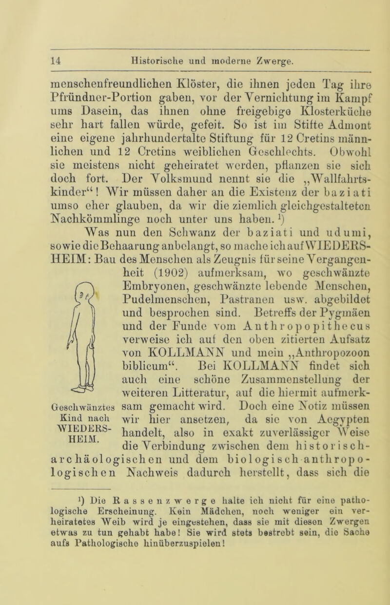 inenscheufreundlichen Klöster, die ilmen jeden Tag ihre Pfründner-Portion gaben, vor der Vernichtung im Kampf ums Dasein, das ihnen ohne freigebige Klosterküche sehr hart fallen würde, gefeit. So ist im Stifte Admont eine eigene jahrhundertalte Stiftung für 12 Cretins männ- lichen und 12 Cretins weiblichen Geschlechts. Obwohl sie meistens nicht geheiratet werden, pflanzen sie sich doch fort. Der Yolksmund nennt sie die „Wallfahrts- kinder“ ! Wir müssen daher an die Existenz der bazi ati umso eher glauben, da wir die ziemlich gleichgestaltetcn Nachkömmlinge noch unter uns haben, b Was nun den Schwanz der bazi ati und udumi, sowie die Behaarung anbclangt, so mache ich auf WJ E DEIiS- HEIM: Bau des Menschen als Zeugnis für seine Vergangen- heit (1902) aufmerksam, wo geschwänzte Embryonen, geschwänzte lebende Menschen, Pudelmenschen, Pastranen usw. abgebildet und besprochen sind. Betreffs der Pygmäen und der Funde vom A u t h r o p o p i t h e c u s verweise ich auf den oben zitierten Aufsatz von KOLLMANN und mein ,,Anthropozoon biblicum“. Bei KOLLMANN findet sich auch eine schöne Zusammenstellung der weiteren Litteratur, auf die hiermit aufmerk- sam gemacht wird. Doch eine Notiz müssen wir hier ansetzen, da sic von Aegypten handelt, also in exakt zuverlässiger Weise die Verbindung zwischen dem historisch- arc häologischen und dem bio 1 ogi sch anthTopo- logischen Nachweis dadurch herstellt, dass sich die Geschwänztes Kind nach RIEDERS- HEIM. 0 Die Rassen Zwerge halte ich nicht für eine patho- logische Erscheinung. Kein Mädchen, noch weniger ein ver- heiratetes Weib wird je eingestehen, dass sie mit diesen Zwergen etwas zu tun gehabt habe! Sie wird stets bestrebt sein, die Sache aufs Pathologische hinüberzuspielen!