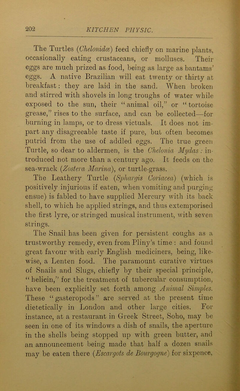 The Turtles (Chelonidce) feed chiefly on marine plants, occasionally eating crustaceans, or molluscs. Their eggs are much prized as food, being as large as bantams’ eggs. A native Brazilian will eat twenty or thirty at breakfast: they are laid in the sand. When broken and stirred with shovels in long troughs of water while exposed to the sun, their “ animal oil,” or “ tortoise grease,” rises to the surface, and can be collected—for burning in lamps, or to dress victuals. It does not im- part any disagreeable taste if pure, but often becomes putrid from the use of addled eggs. The true green Turtle, so dear to aldermen, is the Chelonia Myclas : in- troduced not more than a century ago. It feeds on the sea-wrack (Zostera Marina), or turtle-grass. The Leathery Turtle (Sphargis Coriacea) (which is positively injurious if eaten, when vomiting and purging ensue) is fabled to have supplied Mercury with its back shell, to which he applied strings, and thus extemporised the first lyre, or stringed musical instrument, with seven strings. The Snail has been given for persistent coughs as a trustworthy remedy, even from Pliny’s time : and found great favour with early English mediciners, being, like- wise, a Lenten food. The paramount curative virtues of Snails and Slugs, chiefly by their special principle, “ helicin,” for the treatment of tubercular consumption, have been explicitly set forth among Animal Simples. These “ gasteropods ” are served at the present time dietetically in London and other large cities. For instance, at a restaurant in Greek Street, Soho, may be seen in one of its windows a dish of snails, the aperture in the shells being stopped up with green butter, and an announcement being made that half a dozen snails may be eaten there (Escargots de Bourgogne) for sixpence,