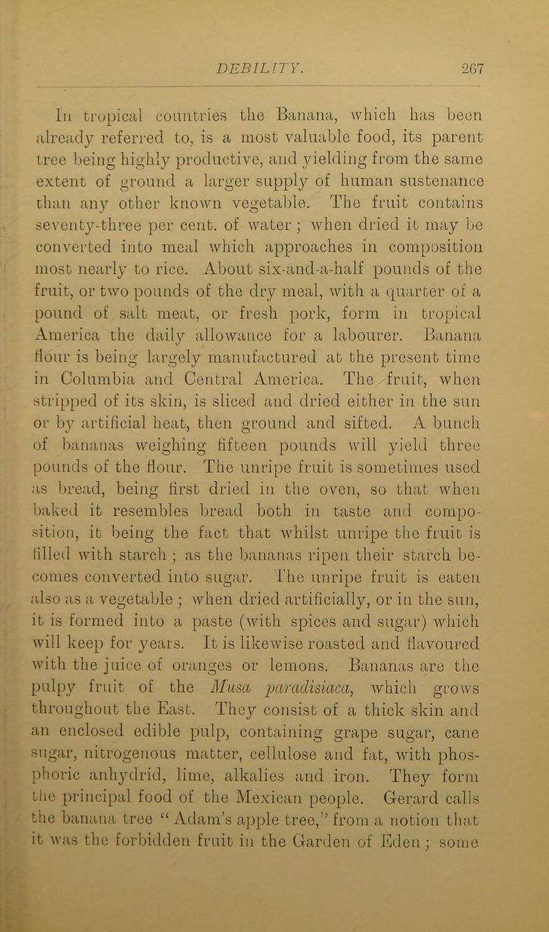 In tropical countries the Banana, which has been already referred to, is a most valuable food, its parent tree being highly productive, and yielding from the same extent of ground a larger supply of human sustenance than any other known vegetable. The fruit contains seventy-three per cent, of water; when dried it may be converted into meal which approaches in composition most nearly to rice. About six-and-a-nalf pounds of the fruit, or two pounds of the dry meal, with a quarter of a pound of salt meat, or fresh pork, form in tropical America the daily allowance for a labourer. Banana hour is being largely manufactured at the present time in Columbia and Central America. The fruit, when stripped of its skin, is sliced and dried either in the sun or by artificial heat, then ground and sifted. A bunch of bananas weighing fifteen pounds will yield three pounds of the hour. The unripe fruit is sometimes used as bread, being first dried in the oven, so that when baked it resembles bread both in taste and compo- sition, it being the fact that whilst unripe the fruit is filled with starch ; as the bananas ripen their starch be- comes converted into sugar. The unripe fruit is eaten also as a vegetable ; when dried artificially, or in the sun, it is formed into a paste (with spices and sugar) which will keep for years. It is likewise roasted and flavoured with the juice of oranges or lemons. Bananas are the pulpy fruit of the Musa jjaradisiaca, which grows throughout the East. They consist of a thick skin and an enclosed edible pulp, containing grape sugar, cane sugar, nitrogenous matter, cellulose and fat, with phos- phoric anhydrid, lime, alkalies and iron. They form the principal food of the Mexican people. Gerard calls the banana tree “ Adam’s apple tree,” from a notion that it was the forbidden fruit in the Garden of Eden; some