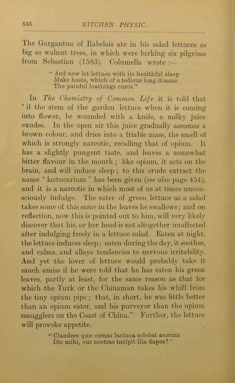 The Gargantua of Rabelais ate in his salad lettuces as big as walnut trees, in which were lurking six pilgrims from Sebastian (1583). Columella wrote :— “ And now let lettuce with its healthful sleep Make haste, which of a tedious long disease The painful loathings cures.” In The Chemistry of Common Life it is told that “ if the stem of the garden lettuce when it is coming into flower, be wounded with a knife, a milky juice exudes. In the open air this juice gradually assumes a brown colour, and dries into a friable mass, the smell of which is strongly narcotic, recalling that of opium. It has a slightly pungent taste, and leaves a somewhat bitter flavour in the mouth; like opium, it acts on the brain, and will induce sleep; to this crude extract the name “ lactucarium ” has been given {see also page 454), and it is a narcotic in which most of us at times uncon- sciously indulge. The eater of green lettuce as a salad takes some of this same in the leaves he swallows; and on reflection, now this is pointed out to him, will very likely discover that his, or her head is not altogether unaffected after indulging freely in a lettuce salad. Eaten at night, the lettuce induces sleej^; eaten during the day, it soothes, and calms, and allays tendencies to nervous irritability. And yet the lover of lettuce would probably take it much amiss if he were told that he has eaten his green leaves, partly at least, for the same reason as that for which the Turk or the Chinaman takes his whiff from the tiny opium pipe; that, in short, he was little better than an opium eater, and his purveyor than the opium smugglers on the Coast of China.” Further, the lettuce will provoke appetite. “ Claudere qure coenas lactuca solebat avorum Die mihi, cur nostras incipit ilia dapes? ”