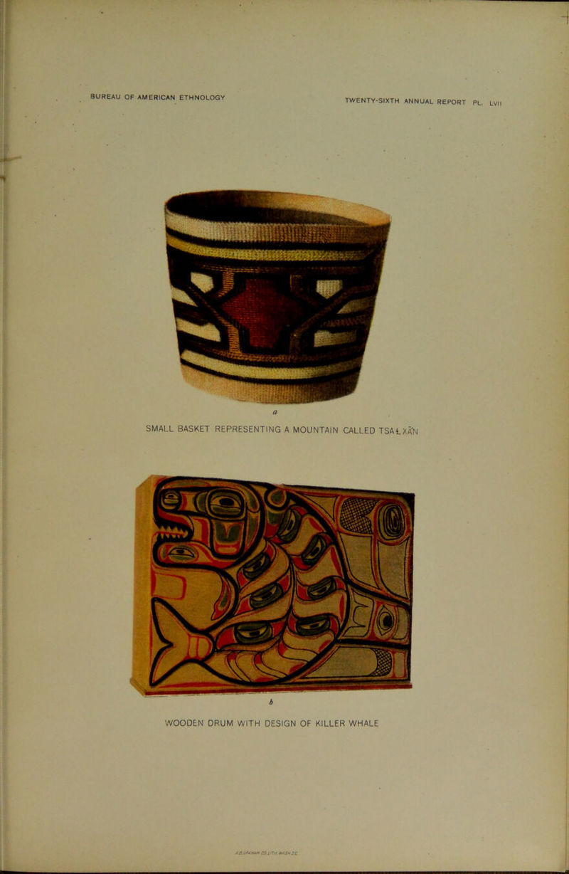 TWENTY-SIXTH ANNUAL REPORT PL. LVIl a SMALL BASKET REPRESENTING A MOUNTAIN CALLED TSALXA'N 6 WOODEN DRUM WITH DESIGN OF KILLER WHALE A3 CO.VTH. wash DC