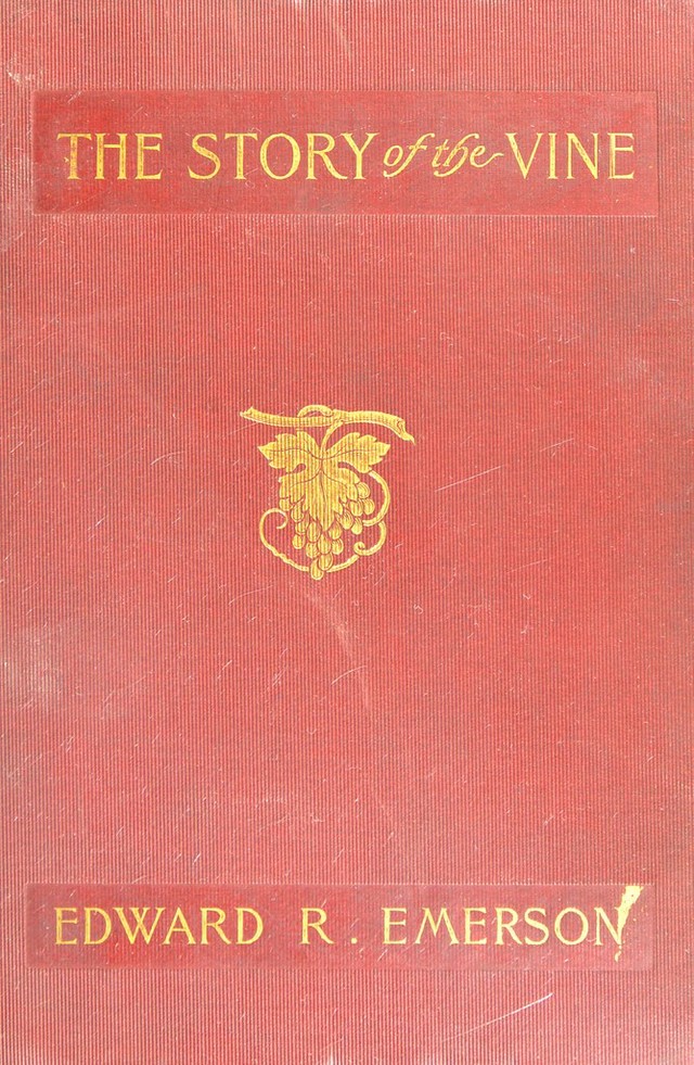 No text description is available for this image