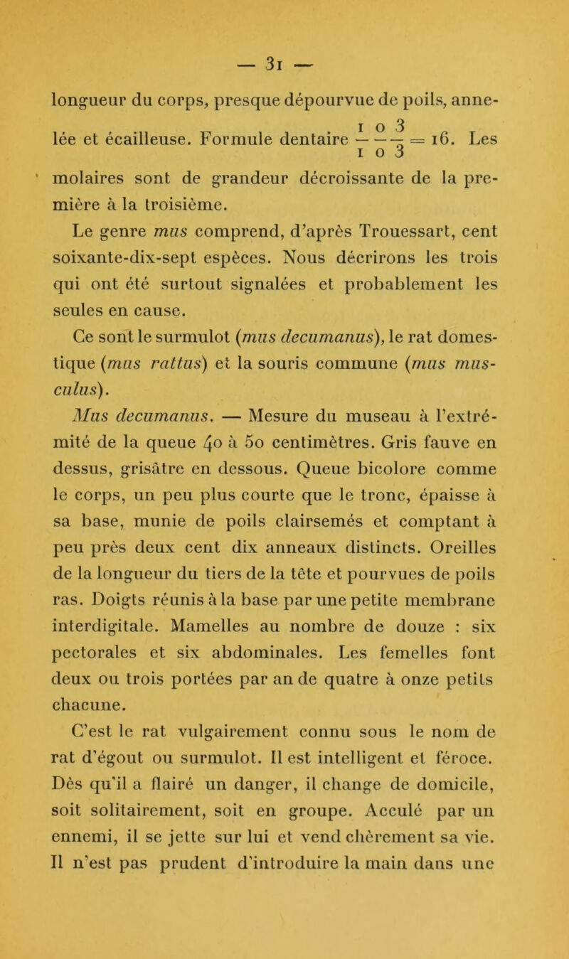 long-ueur du corps, presque dépourvue de poils, aune- I O 3 lée et écailleuse. Formule dentaire = i6. Les I O 3 ' molaires sont de grandeur décroissante de la pre- mière à la troisième. Le genre mus comprend, d’après Trouessart, cent soixante-dix-sept espèces. Nous décrirons les trois qui ont été surtout signalées et probablement les seules en cause. Ce sont le surmulot {mus decumanus), le rat domes- tique {mus rattiis) et la souris commune {mus mus- culus). Mus decumanus. — Mesure du museau à l’extré- mité de la queue à 5o centimètres. Gris fauve en dessus, grisâtre en dessous. Queue bicolore comme le corps, un peu plus courte que le tronc, épaisse à sa base, munie de poils clairsemés et comptant à peu près deux cent dix anneaux distincts. Oreilles de la longueur du tiers de la tête et pourvues de poils ras. Doigts réunis à la base par une petite membrane interdigitale. Mamelles au nombre de douze : six pectorales et six abdominales. Les femelles font deux ou trois portées par an de quatre à onze petits chacune. C’est le rat vulgairement connu sous le nom de rat d’égout ou surmulot. Il est intelligent et féroce. Dès qu'il a flairé un danger, il change de domicile, soit solitairement, soit en groupe. Aeculé par un ennemi, il se jette sur lui et vend chèrement sa vie. Il n’est pas prudent d'introduire la main dans une