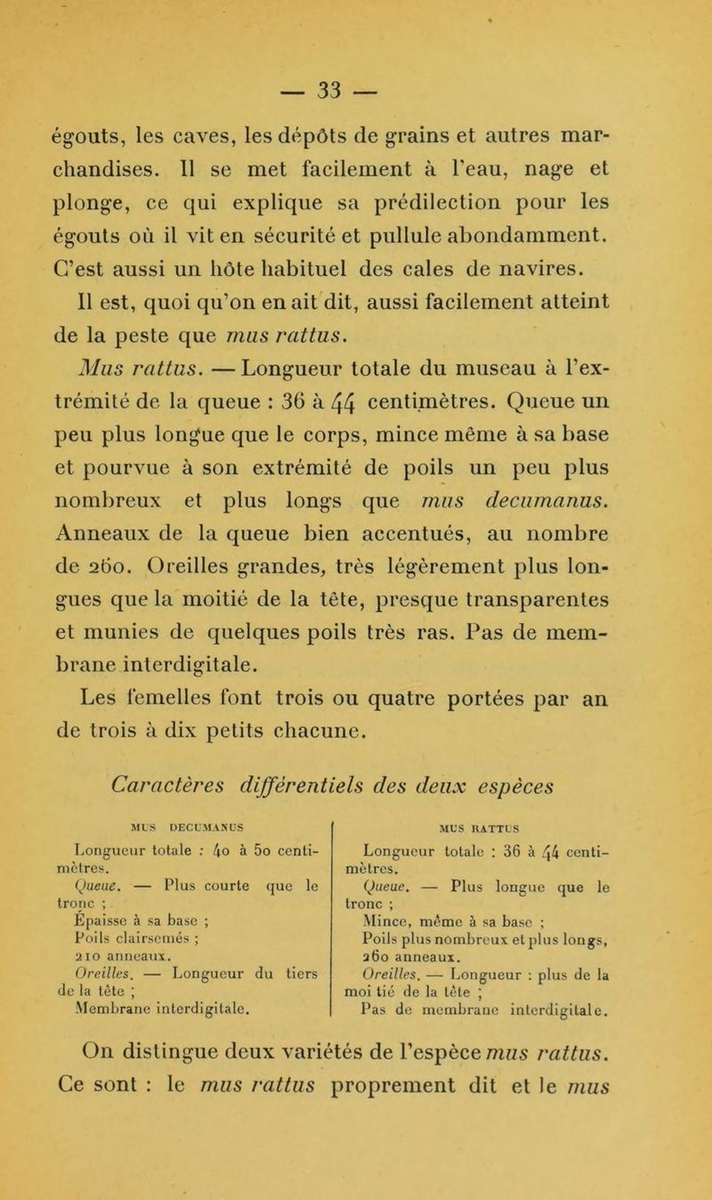 égouts, les caves, les dépôts de grains et autres mar- chandises. 11 se met facilement à Peau, nage et plonge, ce qui explique sa prédilection pour les égouts où il vit en sécurité et pullule abondamment. C’est aussi un hôte habituel des cales de navires. 11 est, quoi qu’on en ait dit, aussi facilement atteint de la peste que mas rattus. Mas rattus. —Longueur totale du museau à l’ex- trémité de la queue : 36 à 44 centimètres. Queue un peu plus longue que le corps, mince même à sa base et pourvue à son extrémité de poils un peu plus nombreux et plus longs que mas decamanus. Anneaux de la queue bien accentués, au nombre de 260. Oreilles grandes, très légèrement plus lon- gues que la moitié de la tête, presque transparentes et munies de quelques poils très ras. Pas de mem- brane interdigitale. Les femelles font trois ou quatre portées par an de trois à dix petits chacune. Caractères différentiels des deux espèces MUS DECUM.VNUS Longueur totale ; !\o à 5o centi- mètres. (Jueue. — Plus courte que le troiic ; Épaisse à sa base ; Poils clairsemés ; a 10 anneaux. Oreilles. — Longueur du tiers de la tête ; Membrane Interdigitale. MUS RATTUS Longueur totale : 36 à 44 centi- mètres. Queue. — Plus longue que le tronc ; Mince, même à sa base ; Poils plus nombreux et plus longs, 360 anneaux. Oreilles. — Longueur : plus de la moi tié de la tète ; Pas de membraue interdigitale. On distingue deux variétés de l’espèce/nws rattus. Ce sont : le mus rattus proprement dit et le mus