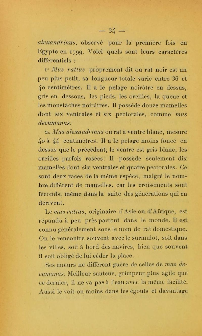 alexandrimis, observé pour la première fois en Egypte en 1799. Voici quels sont leurs caractères clüférenliels : 1“ Mus rattus proprement dit ou rat noir est un peu plus petit, sa longueur totale varie entre 36 et 40 centimètres. Il a le pelage noirâtre en dessus, gris en dessous, les pieds, les oreilles, la queue et les moustaches noirâtres. Il possède douze mamelles dont six ventrales et six pectorales, comme jïius deciimanus. 2o Mus alexandrinus ou rat à ventre blanc, mesure 40 à 44 centimètres. Il a le pelage moins foncé en dessus que le précédent, le ventre est gris blanc, les oreilles parfois rosées. Il possède seulement dix mamelles dont six ventrales et quatre pectorales. Ce sont deux races de la même espèce, malgré le nom- bre düférent de mamelles, car les croisements sont féconds, même dans la suite des générations qui en dérivent. Le mus rattus^ originaire d'Asie ou d'Afrique, est répandu à peu près partout dans le monde. Il est connu généralement sous le nom de rat domestique. On le rencontre souvent avec le surmulot, soit dans les villes, soit à bord des navires, bien que souvent il soit obligé de lui céder la place. Ses mœurs ne dUTèrent guère de celles de mus de- cumaiius. Meilleur sauteur, grimpeur plus agile que ce dernier, il ne va pas à l’eau avec la même facilité. Aussi le voit-011 moins dans les égouts et davantage