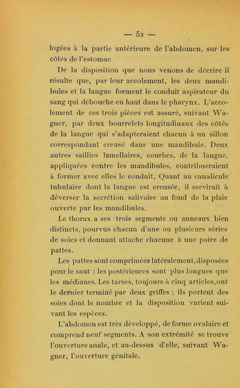 « logées à la partie antérieure de l’abdomen, sur les côtés de l’estomac. De la disposition que nous venons de décrire il résulte que, par leur accolement, les deux mandi- bules et la langue forment le conduit aspirateur du sang qui débouche en haut dans le pharynx. L’acco- lement de ces trois pièces est assuré, suivant Wa- gner, par deux bourrelets longitudinaux des côtés de la langue qui s’adapteraient chacun à un sillon correspondant creusé dans une mandibule. Deux autres saillies lamellaires, courbes, de la langue, appliquées contre les mandibules, contribueraient à former avec elles le conduit. Quant au canalicule tubulaire dont la langue est creusée, il servirait à déverser la secrétion salivaire au fond de la plaie ouverte par les mandibules. Le thorax a ses trois segments ou anneaux bien distincts, pourvus chacun d’une ou plusieurs séries de soies et donnant attache chacune à une paire de pattes. Les pattes sont comprimées latéralement,disposées pour le saut : les postérieures sont plus longues que les médianes. Les tarses, toujours à cinq articles,ont le dernier terminé par deux griffes ; ils portent des soies dont le nombre et la disposition varient sui- vant les espèces. L’abdomen est très développé, de forme ovalaire et comprend neuf segments. A son extrémité se trouve rouvcrture anale, et au-dessus d’elle, suivant Wa- gner, l’ouverture génitale.