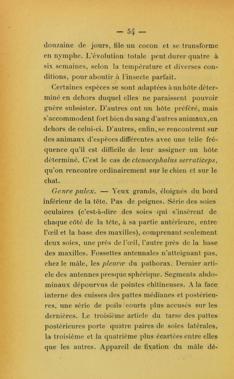 douzaine de jours, iiie un cocon et se transforme en nymphe. L’évolution totale peut durer quatre à six semaines, selon la température et diverses con- ditions, pour aboutir à l’insecte parfait. Certaines espèces se sont adaptées à un hôte déter- miné en dehors duquel elles ne paraissent pouvoir guère subsister. D’autres ont un hôte préféré, mais s’accommodent fort bien du sang d’autres animaux,en dehors de celui-ci. D’autres, enfin, se rencontrent sur des animaux d’espèces différentes avec une telle fré- ({uence qu’il est difficile de leur assigner un hôte déterminé. C’est le cas de ctenocephalus serraticeps^ qu’on rencontre ordinairement sur le chien et sur le chat. Genre pulex. — Yeux grands, éloignés du bord inférieur de la tête. Pas de peignes. Série des soies oculaires (c’est-à-dire des soies qui s’insèrent de chaque côté de la tête, à sa partie antérieure, entre l’œil et la base des maxilles), comprenant seulement deux soies, une près de l’œil, l’autre près de la base des maxilles. Fossettes antennales n’atteignant pas, chez le mâle, les pieurœ du pathorax. Dernier arti- cle des antennes presque sphérique. Segments abdo- minaux dépourvus de pointes chitineuses. A la face interne des cuisses des pattes médianes et postérieu- res, une série de poils courts plus accusés sur les dernières. Le troisième article du tarse des pattes postérieures porte quatre paires de soies latérales, la troisième et la quatrième plus écartées entre elles que les autres. Appareil de fix^ation du mâle dé-
