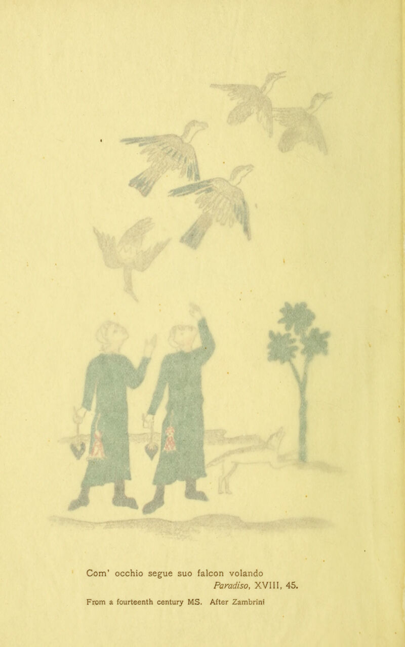 Com’ occhio segue suo falcon volando Paradiso, XVIII, 45. From a fourteenth century MS. After Zambrini