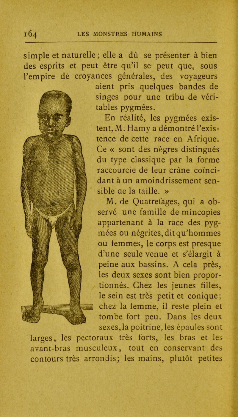 simple et naturelle; elle a dû se présenter à bien des esprits et peut être qu’il se peut que, sous l’empire de croyances générales, des voyageurs aient pris quelques bandes de singes pour une tribu de véri- tables pygmées. En réalité, les pygmées exis- tent, M. Hamy a démontré l’exis- tence de cette race en Afrique. Ce « sont des nègres distingués du type classique par la forme raccourcie de leur crâne coïnci- dant à un amoindrissement sen- sible ae la taille. » M. de Quatrefages, qui a ob- servé une famille de mincopies appartenant à la race des pyg- mées ou négrites,ditqu’hommes ou femmes, le corps est presque d’une seule venue et s’élargit à peine aux bassins. A cela près, les deux sexes sont bien propor- tionnés. Chez les jeunes filles, le sein est très petit et conique; chez la femme, il reste plein et tombe fort peu. Dans les deux sexes,la poitrine, les épaules sont larges, les pectoraux très forts, les bras et les avant-bras musculeux, tout en conservant des contours très arrondis; les mains, plutôt petites