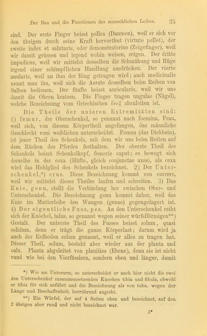 sind. Der erste Finger heisst pollex (Daumen), weil er sich vor den übrigen durch seine Kraft hervorthut (virtute pollet), der zweite index et salutaris, oder demonstratorius (Zeigefinger), weil Avir damit grüssen und irgend wohin weisen, zeigen. Der dritte impudicus, weil wir mittelst desselben die Schmähung und Eüge irgend einer schimpflichen Handlung ausdrücken. Der vierte anularis, weil an ihm der Ring getragen wird; auch medicinalis nennt man ihn, weil sich die Aerzte desselben beim Reiben von Salben bedienen. Der fünfte heisst auricularis, weil wir uns damit die Ohren kratzen. Die Finger tragen ungulae (Nägel), welche Bezeichnung vom Griechischen ovuS, abzuleiten ist. Die Theile der unteren Extremitäten sind: 1) femur, der Oberschenkel, so genannt nach foemina, Frau, weil sich, von diesem Körpertheil angefangen, das männliche Geschlecht voni weiblichen unterscheidet. Femen (das Dickbein), ist jener Theil des Schenkels, mit dem wir uns beim Reiten auf dem Rücken des Pferdes festhalten. Der oberste Theil des Schenkels heisst Schenkelkopf, femoris caput; es bewegt sich derselbe in der coxa (Hüfte, gleich conjunctae axes), als coxa wird das Hohlglied des Schenkels bezeichnet. 2) Der Unter- schenkel,*) er US. Diese Bezeichnung koimnt von currere, Aveil Avir mittelst dieses Theiles laufen und schreiten. 3) Das Knie, genu, stellt die Verbindung her zwischen Ober- und Unterschenkel. Die Bezeichnung genu kommt daher, weil das Knie im Mutterleibe den Wangen (genae) gegengelagert ist. 4) Der eigentliche Fuss, pes. An den Unterschenkel reiht sich der Knöchel, talus, so genannt wegen seiner würfelförmigen**) Gestalt. Der unterste Theil des Fusses heisst solum, quasi solidum, denn er trägt die ganze Körperlast; darum wird ja auch der Erdboden solum genaimt, weil er alles zu tragen hat. Dieser Theil, solum, besteht aber wieder aus der planta und calx. Planta abgeleitet von planities (Ebene), denn sie ist nicht rund wie bei den Vierfüsslern, sondern eben und länger, damit *) Wie am Unterarm, so unterscheidet er auch hier nicht die zwei den Unterschenkel zusammensetzenden Knochen tibia und fibula, obwohl er tibia für sich anführt und die Bezeichnung als von tuba, wegen der Länge und Beschaffenheit, herrührend angiebt. **) Ein Würfel, der auf 4 Seiten eben und bezeichnet, auf den 2 übrigen aber rund und nicht bezeichnet war. 3*