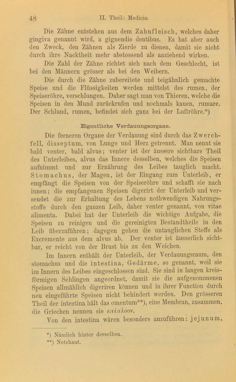 Die Zäline entstehen aus dem Zahnfleisch, welches daher gingiva genannt wird, a gignendis dentihus. Es hat aber auch den Zweck, den Zähnen als Zierde zu dienen, damit sie nicht durch ihre Nacktheit mehr ahstossend als anziehend wirken. Die Zahl der Zähne richtet sich nach dem Gesclilecht, ist bei den Männern grösser als bei den Weibern. Die dm-ch die Zähne zubereitete und teigähnlich gemachte Speise und die Flüssigkeiten werden mittelst des rumen, der Speiseröhre, verschlungen. Daher sagt man von Thieren, welche die Speisen in den Mund zurückrufen und nochmals kauen, rumare. Der Schlund, rumen, befindet sich ganz bei der Luftröhre.*) Eigentliche Verdauiingsorgane. Die ferneren Organe der Verdauung sind durch das Zwerch- fell, disseptum, von Lunge und Herz getrennt. Man nennt sie bald venter, bald alvus; venter ist der äussere sichtbare Theil des Unterleibes, alvus das Innere desselben, welches die Speisen aufnimmt und zur Ernährung des Leibes tauglich macht. Stomachus, der Magen, ist der Eingang zum Unterleib, er emprängt die Speisen von der Speiseröhre und schafft sie nach innen; die empfangenen Speisen digerirt der Unterleib und ver- sendet die zur Erhaltung des Lebens nothwendigen Nahrungs- stofte durch den ganzen Leib, daher venter genannt, von vitae alimenta. Dabei hat der Unterleib die wichtige Aufgabe, die Speisen zu reinigen und die gereinigten Bestandtheile in den Leib überzuführen; dagegen gehen die untauglichen Stoffe als Excremente aus dem alvus ab. Der venter ist äusseiiich sicht- bar, er reicht von der Brust bis zu den Weichen. Im Innern enthält der Unterleib, der Yerdauungsraum, den stomachus und die intestina, Gedärme, so genannt, weil sie im Innern des Leibes eingeschlossen sind. Sie sind in langen kreis- förmigen Schlingen angeordnet, damit sie die aufgenommenen Speisen allmählich digeriren können und in ihrer Function durch neu eingeführte Speisen nicht behindert werden. Den grösseren Theil der intestina hält das omentum**), eine Membran, zusammen, die Griechen nennen sie minloov. Von den intestina wären besonders anzuführen: Jejunum, *) Nämlich hinter derselben. **) Netzhaut.