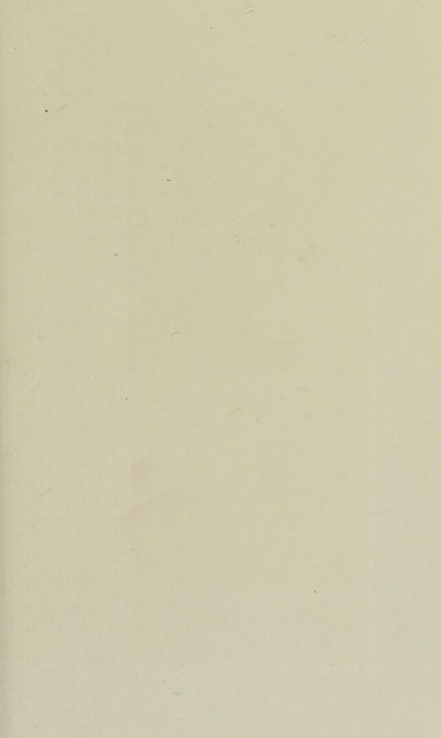 digitised image 3