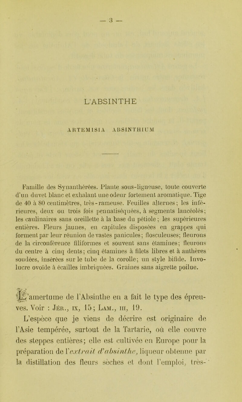 L’ABSINTHE ARTEMISIÀ ABSINTHIUM Famille des Synanthérées. Plante sous-ligneuse, toute couverte d’un duvet blanc et exhalant une odeur fortement aromatique. Tige de 40 à 80 centimètres, très-rameuse. Feuilles alternes; les infé- rieures, deux ou trois fois pennatiséquées, à segments lancéolés; les caulinaires sans oreillette à la base du pétiole ; les supérieures entières. Fleurs jaunes, en capitules disposées en grappes qui forment par leur réunion dévastés panicules; flosculeuses; fleurons de la circonférence filiformes et souvent sans étamines; fleurons du centre à cinq dents ; cinq étamines à filets libres et à anthères soudées, insérées sur le tube de la corolle; un style bifide. Invo- lucre ovoïde à écailles imbriquées. Graines sans aigrette poilue. C?_r ? Ê’amertume de F Absinthe en a fait le type des épreu- ves. Voir : Jér., ix, 15; Lam., iii, 19. L’espèce que je viens de décrire est originaire de l’Asie tempérée, surtout de la Tartarie, où elle couvre des steppes entières; elle est cultivée en Europe pour la préparation de Y extrait d’absinthe, liqueur obtenue par la distillation des fleurs sèches et dont l’emploi, très-