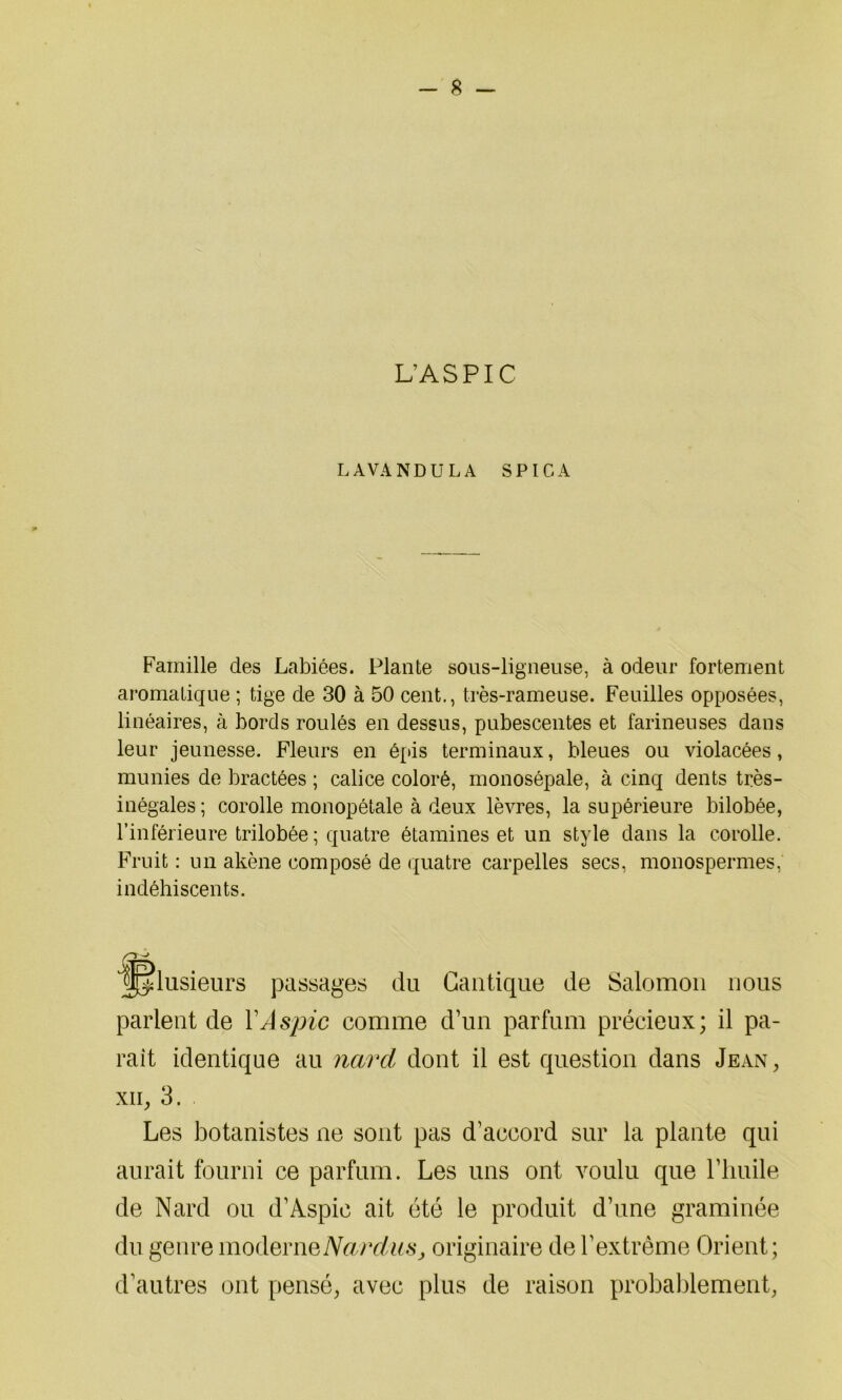 L’ASPIC LAVANDULA SPICA Famille des Labiées. Plante sous-ligneuse, à odeur fortement aromatique ; tige de 30 à 50 cent., très-rameuse. Feuilles opposées, linéaires, à bords roulés en dessus, pubescentes et farineuses dans leur jeunesse. Fleurs en épis terminaux, bleues ou violacées, munies de bractées ; calice coloré, monosépale, à cinq dents très- inégales ; corolle monopétale à deux lèvres, la supérieure bilobée, l’inférieure trilobée; quatre étamines et un style dans la corolle. Fruit : un akène composé de quatre carpelles secs, monospermes, indéhiscents. ‘plusieurs passages du Cantique de Salomon nous parlent de Y Aspic comme d’un parfum précieux; il pa- rait identique au nard dont il est question dans Jean, xii, 3. Les botanistes ne sont pas d’accord sur la plante qui aurait fourni ce parfum. Les uns ont voulu que l’huile de Nard ou d’Aspic ait été le produit d’une graminée du genre moderne Nardu originaire de l’extrême Orient; d’autres ont pensé, avec plus de raison probablement,