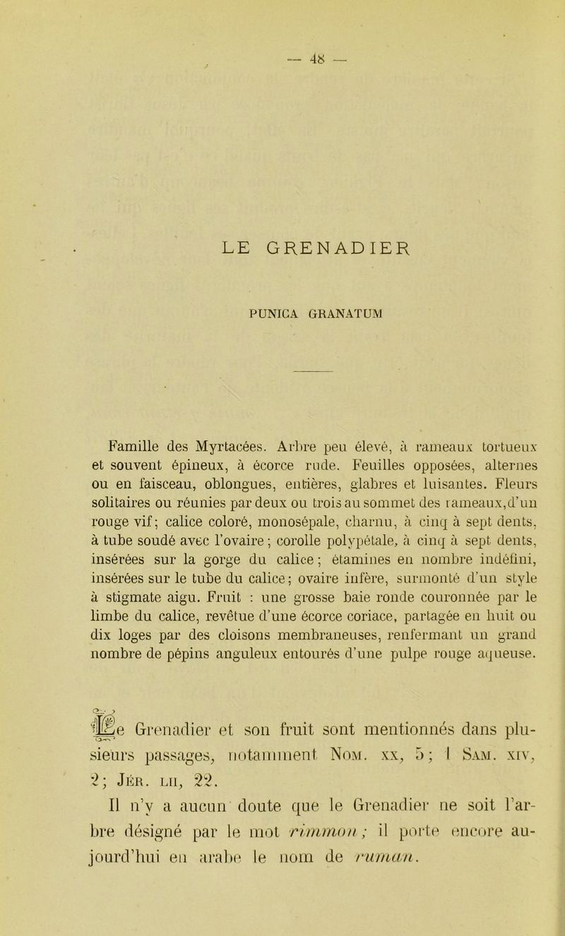 LE GRENADIER PUNIGA GRANATUM Famille des Myrtacées. Arbre peu élevé, à rameaux tortueux et souvent épineux, à écorce rude. Feuilles opposées, alternes ou en faisceau, oblongues, entières, glabres et luisantes. Fleurs solitaires ou réunies par deux ou trois au sommet des rameaux,d’un rouge vif; calice coloré, monosépale, charnu, à cinq à sept dents, à tube soudé avec l’ovaire ; corolle polypétale, à cinq à sept dents, insérées sur la gorge du calice ; étamines en nombre indéfini, insérées sur le tube du calice; ovaire infère, surmonté d’un style à stigmate aigu. Fruit : une grosse baie ronde couronnée par le limbe du calice, revêtue d’une écorce coriace, partagée en huit ou dix loges par des cloisons membraneuses, renfermant un grand nombre de pépins anguleux entourés d’une pulpe rouge aqueuse. je Grenadier et son fruit sont mentionnés dans plu- sieurs passages, notamment Nom. xx, 5; I Sam. xiv, 2; Jér. lu, 22. Il n’v a aucun doute que le Grenadier ne soit l’ar- bre désigné par le mot rirnmon ; il porte encore au- jourd’hui en arabe le nom de ratnan.