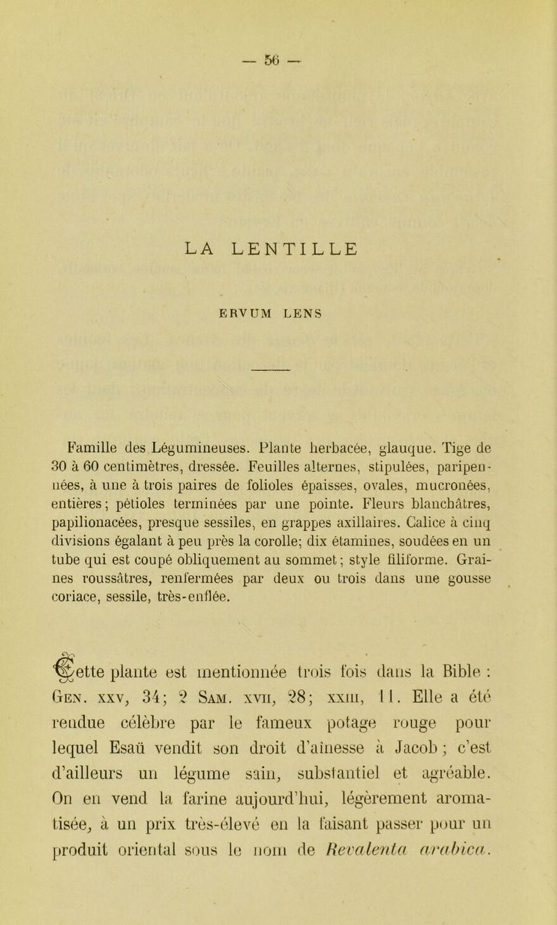 LA LENTILLE ERVUM LENS Famille des Légumineuses. Plante herbacée, glauque. Tige de 30 à 60 centimètres, dressée. Feuilles alternes, stipulées, paripen- nées, à une à trois paires de folioles épaisses, ovales, mucronées, entières ; pétioles terminées par une pointe. Fleurs blanchâtres, papilionacées, presque sessiles, en grappes axillaires. Galice à cinq divisions égalant à peu près la corolle; dix étamines, soudées en un tube qui est coupé obliquement au sommet; style filiforme. Grai- nes roussâtres, renfermées par deux ou trois dans une gousse coriace, sessile, très-enflée. cy- ;ette plante est mentionnée trois fois dans la Bible : Gen. xxv, 34; 2 Sam. xvii, 28; xxm, 11. Elle a été rendue célèbre par le fameux potage rouge pour lequel Esaü vendit son droit d’aînesse à Jacob ; c’est d’ailleurs un légume sain, substantiel et agréable. On en vend la farine aujourd’hui, légèrement aroma- tisée, à un prix très-élevé en la faisant passer pour un produit orientai sous le nom de Revalenta arabica.