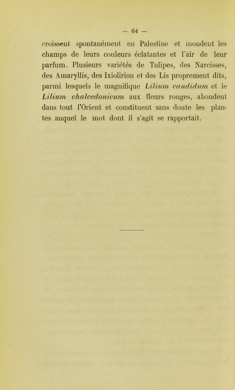 croissent spontanément en Palestine et inondent les champs de leurs couleurs éclatantes et Pair de leur parfum. Plusieurs variétés de Tulipes, des Narcisses, des Amaryllis, des Ixiolirion et des Lis proprement dits, parmi lesquels le magnifique Lilium ccindidum et le Lilium chalcedonicum aux fleurs rouges, abondent dans tout l’Orient et constituent sans doute les plan- tes auquel le mot dont il s’agit se rapportait.