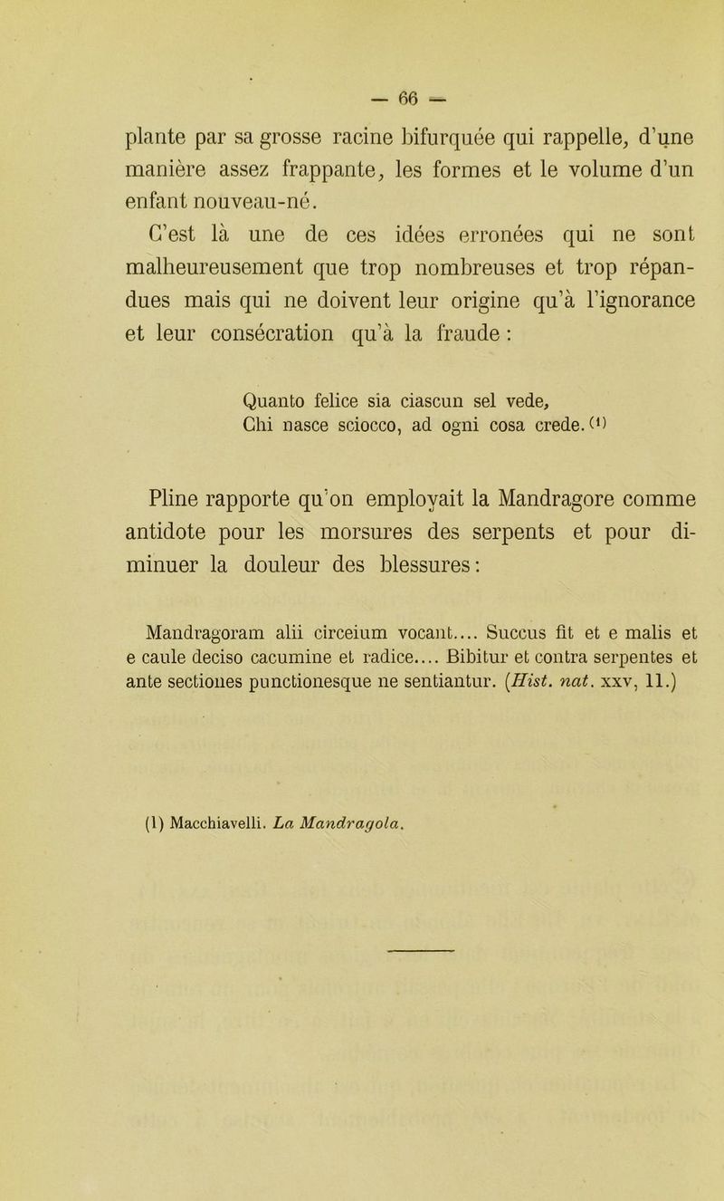 plante par sa grosse racine bifurquée qui rappelle, d’une manière assez frappante, les formes et le volume d’un enfant nouveau-né. C’est là une de ces idées erronées qui ne sont malheureusement que trop nombreuses et trop répan- dues mais qui ne doivent leur origine qu’à l’ignorance et leur consécration qu’à la fraude : Quanto felice sia ciascun sel vede, Chi nasce sciocco, ad ogni cosa crede.^1) Pline rapporte qu’on employait la Mandragore comme antidote pour les morsures des serpents et pour di- minuer la douleur des blessures: Mandragoram alii circeium vocant.... Succus fit et e malis et e caule deciso cacumine et radice.... Bibitur et contra serpentes et ante sectiones punctionesque ne sentiantur. [Hist. nat. xxv, 11.) (1) Macchiavelli. La Mandragola.