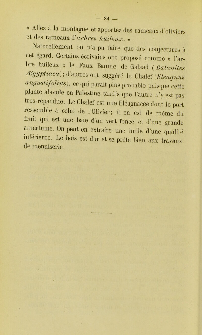 « Allez a la montagne et apportez des rameaux d’oliviers et des rameaux à'arbres huileux. » Naturellement on n’a pu faire que des conjectures a cet égard. Certains écrivains ont proposé comme « l’ar- bre huileux » le Faux Baume de Galaad ( Balanites Ægyptiaca) ; d’autres ont suggéré le Chalef (Eleagnus angustifoliusj, ce qui paraît plus probable puisque cette plante abonde en Palestine tandis que l’autre n’y est pas tiès-iépandue. Le Chalef est une Eléagnacée dont le port ressemble a celui de l’Olivier; il en est de même du fruit qui est une baie d’un vert foncé et d’une grande amertume. On peut en extraire une huile d’une qualité inférieure. Le bois est dur et se prête bien aux travaux de menuiserie.
