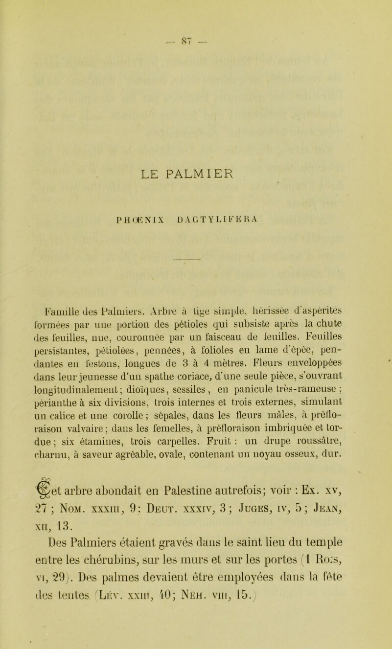 LE PALMIER P H OÈ N 1X D A G T Y LIF E RA Famille des Palmiers. Arbre à tige simple, hérissée d aspérités formées par une portion des pétioles qui subsiste après la chute des fouilles, nue, couronnée par un faisceau de fouilles. Feuilles persistantes, pétiolées, pennées, à folioles en lame d’épée, pen- dantes en lestons, longues de 3 à 4 mètres. Fleurs enveloppées dans leur jeunesse d’un spathe coriace, d’une seule pièce, s’ouvrant longitudinalement; dioïques, sessiles , en panicule très-rameuse; périantlie à six divisions, trois internes et trois externes, simulant un calice et une corolle ; sépales, dans les fleurs mâles, à préflo- raison valvaire ; dans les femelles, à préfloraison imbriquée et tor- due ; six étamines, trois carpelles. Fruit : un drupe roussâtre, charnu, à saveur agréable, ovale, contenant un noyau osseux, dur. ^>et arbre abondait en Palestine autrefois; voir : Ex. xv, 21 ; Nom. xxxiii, 9: Deut. xxxiv, 3; Juges, iv, 5; Jean, xii, 13. Des Palmiers étaient gravés dans le saint lieu du temple entre les chérubins, sur les murs et sur les portes (1 Ro:s, vi, 29). Des palmes devaient être employées dans la fête des tentes Lév. xxm, 10; Néh. vin, 15.
