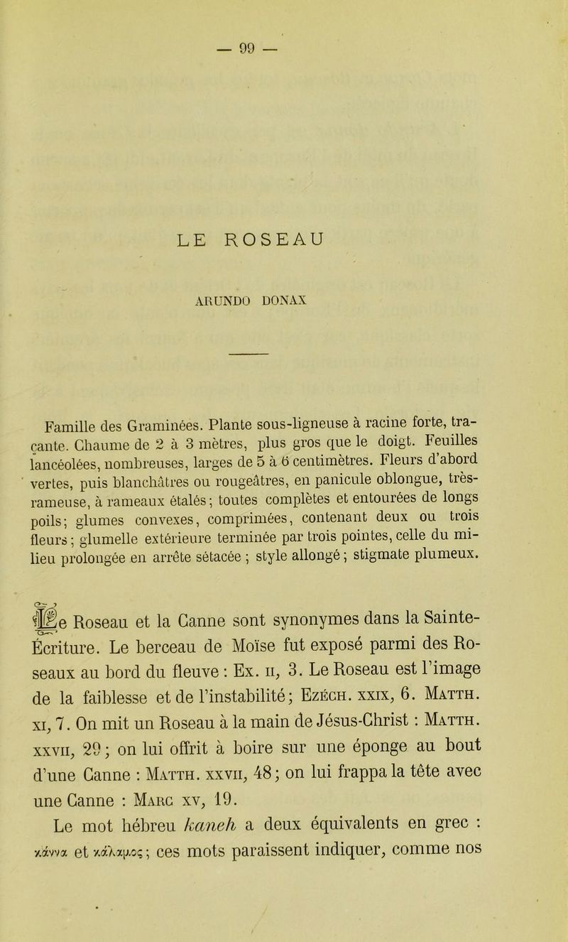 LE ROSEAU ARUNDO DONAX Famille des Graminées. Plante sous-ligneuse à racine forte, tra- çante. Chaume de 2 à 3 mètres, plus gros que le doigt. Feuilles lancéolées, nombreuses, larges de 5 à 5 centimètres. Fleurs d abord vertes, puis blanchâtres ou rougeâtres, en panicule oblongue, très- rameuse, à rameaux étalés; toutes complètes et entourées de longs poils; glumes convexes, comprimées, contenant deux ou trois fleurs; glumelle extérieure terminée par trois pointes, celle du mi- lieu prolongée en arrête sétacée ; style allongé ; stigmate plumeux. e Roseau et la Canne sont synonymes dans la Sainte- Écriture. Le berceau de Moïse fut exposé parmi des Ro- seaux au bord du fleuve : Ex. ii, 3. Le Roseau est l’image de la faiblesse et de l’instabilité ; Ezéch. xxix, 6. Matth. xi; 7. On mit un Roseau à la main de Jésus-Christ : Matth. xxvii; 29 ; on lui offrit à boire sur une éponge au bout d’une Canne : Matth. xxvii; 48; on lui frappa la tête avec une Canne : Marc xv, 19. Le mot hébreu kaneh a deux équivalents en grec : y.awa et ; ces mots paraissent indiquer, comme nos