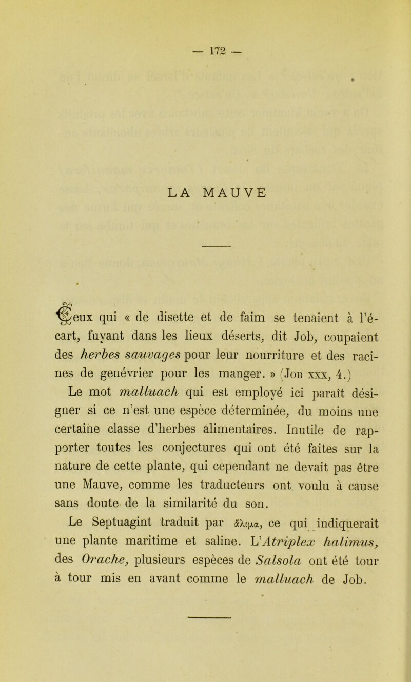 LA MAUVE ^§5eux qui « de disette et de faim se tenaient à l’é- cart, fuyant dans les lieux déserts, dit Job, coupaient des herbes sauvages pour leur nourriture et des raci- nes de genévrier pour les manger. » (Job xxx, 4.) Le mot malluach qui est employé ici paraît dési- gner si ce n’est une espèce déterminée, du moins une certaine classe d’herbes alimentaires. Inutile de rap- porter toutes les conjectures qui ont été faites sur la nature de cette plante, qui cependant ne devait pas être une Mauve, comme les traducteurs ont voulu à cause sans doute de la similarité du son. Le Septuagint traduit par «Xtjjux, ce qui indiquerait une plante maritime et saline. L'Atriplex halimus, des Oraclie, plusieurs espèces de Salsola ont été tour à tour mis en avant comme le malluach de Job.