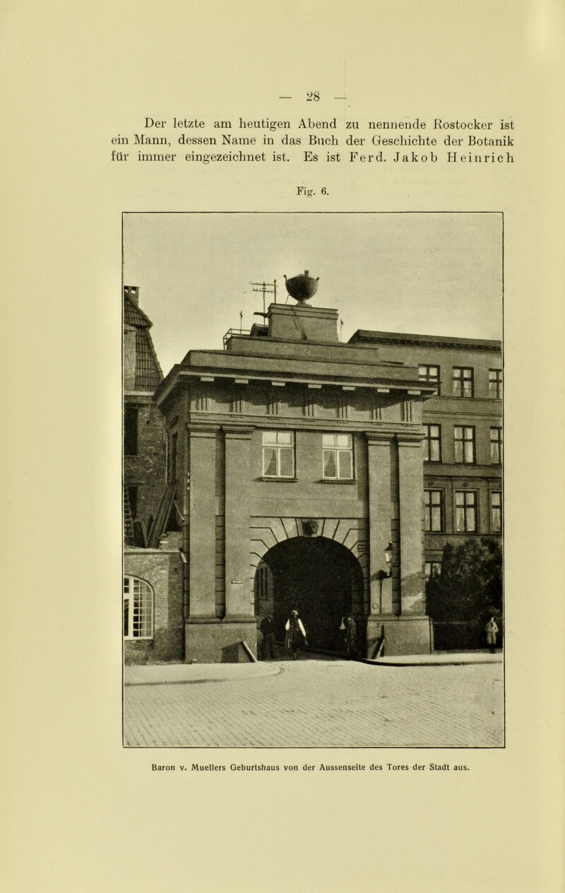 Der letzte am heutigen Abend zu nennende Rostocker ist ein Mann, dessen Name in das Buch der Geschichte der Botanik für immer eingezeichnet ist. Es ist Ferd. Jakob Heinrich Baron v. Muellers Geburtshaus von der Aussenseite des Tores der Stadt aus.