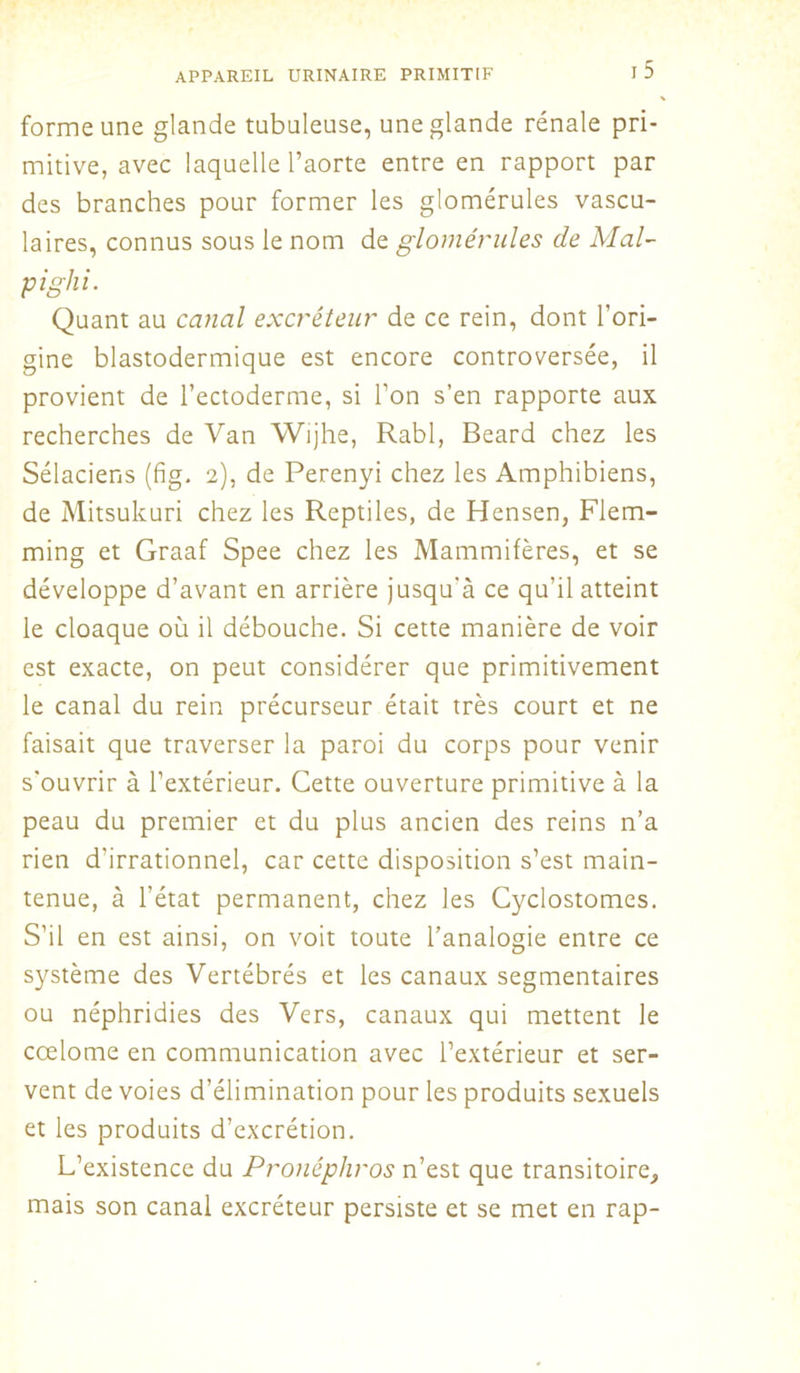 forme une glande tubuleuse, une glande rénale pri- mitive, avec laquelle l’aorte entre en rapport par des branches pour former les glomérules vascu- laires, connus sous le nom de glomérules de Mal- pighi. Quant au canal excréteur de ce rein, dont l’ori- gine blastodermique est encore controversée, il provient de l’ectoderme, si l’on s’en rapporte aux recherches de Van Wijhe, Rabl, Beard chez les Sélaciens (fig. 2), de Perenyi chez les Amphibiens, de Mitsukuri chez les Reptiles, de Hensen, Flem- ming et Graaf Spee chez les Mammifères, et se développe d’avant en arrière jusqu'à ce qu’il atteint le cloaque où il débouche. Si cette manière de voir est exacte, on peut considérer que primitivement le canal du rein précurseur était très court et ne faisait que traverser la paroi du corps pour venir s'ouvrir à l’extérieur. Cette ouverture primitive à la peau du premier et du plus ancien des reins n’a rien d'irrationnel, car cette disposition s’est main- tenue, à l’état permanent, chez les Cyclostomes. S’il en est ainsi, on voit toute l’analogie entre ce système des Vertébrés et les canaux segmentaires ou néphridies des Vers, canaux qui mettent le cœlome en communication avec l’extérieur et ser- vent de voies d’élimination pour les produits sexuels et les produits d’excrétion. L’existence du Pronéphros n’est que transitoire, mais son canal excréteur persiste et se met en rap-