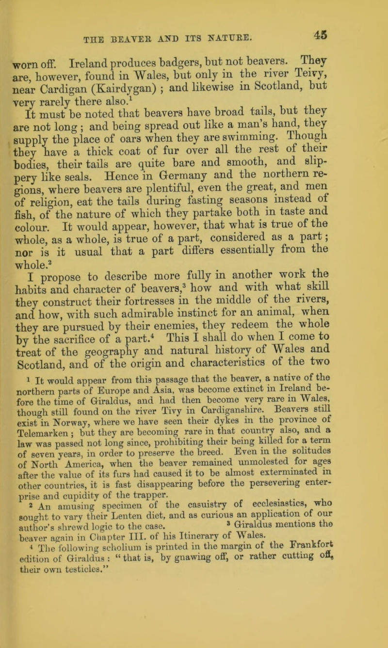 TIIE BEAVER AND ITS NATURE. worn off. Ireland produces badgers, but not beavers. They are, however, found in Wales, but only in the river Teivy, near Cardigan (Kairdygan) ; and likewise in Scotland, but very rarely there also.1 It must be noted that beavers have broad tails, but they are not long ; and being spread out like a man’s hand, they supply the place of oars when they are swimming. Though they have a thick coat of fur over all the rest of their bodies, their tails are quite bare and smooth, and slip- pery like seals. Hence in Germany and the northern re- gions, where beavers are plentiful, even the great, and men of religion, eat the tails during fasting seasons instead of fish, of the nature of which they partake both in taste and colour. It would appear, however, that what is true of the whole, as a whole, is true of a part, considered as a part; nor is it usual that a part differs essentially from the whole.3 I propose to describe more fully in another work the habits and character of beavers,3 how and with what skill they construct their fortresses in the middle of the rivers, and how, with such admirable instinct for an animal, when they are pursued by their enemies, they redeem the whole by the sacrifice of a part.4 This I shall do when I come to treat of the geography and natural history of Wales and Scotland, and of the origin and characteristics of the two 1 It would appear from this passage that the beaver, a native of the northern parts of Europe and Asia, was become extinct in Ireland be- fore tho time of Giraldus, and had then become very rare in Wales, though still found ou the river Tivy in Cardiganshire. Beavers still exist in Norway, where we have seen their dykes in tho province of Telemarken ; but they are becoming rare in that country also, and a law was passed not long since, prohibiting their being killed for a term of seven years, in order to preserve the breed. Even in the solitudes of North” America, when the beaver remained unmolested for ages after the value of its furs had caused it to be almost exterminated in other countries, it is fast disappearing before the persevering enter- prise and cupidity of the trapper. . 2 An amusing* specimen of the casuistry of ecclesiastics, who sought to vary their Lenten diet, and as curious an application of our author’s shrewd logic to the case. 3 Giraldus mentions tho beaver again in Chapter III. of his Itinerary of Wales. * The following scholium is printed in the margin of the Frankfort edition of Giraldus : “ that is, by gnawing ofi’, or rather cutting ofl, their own testicles.”