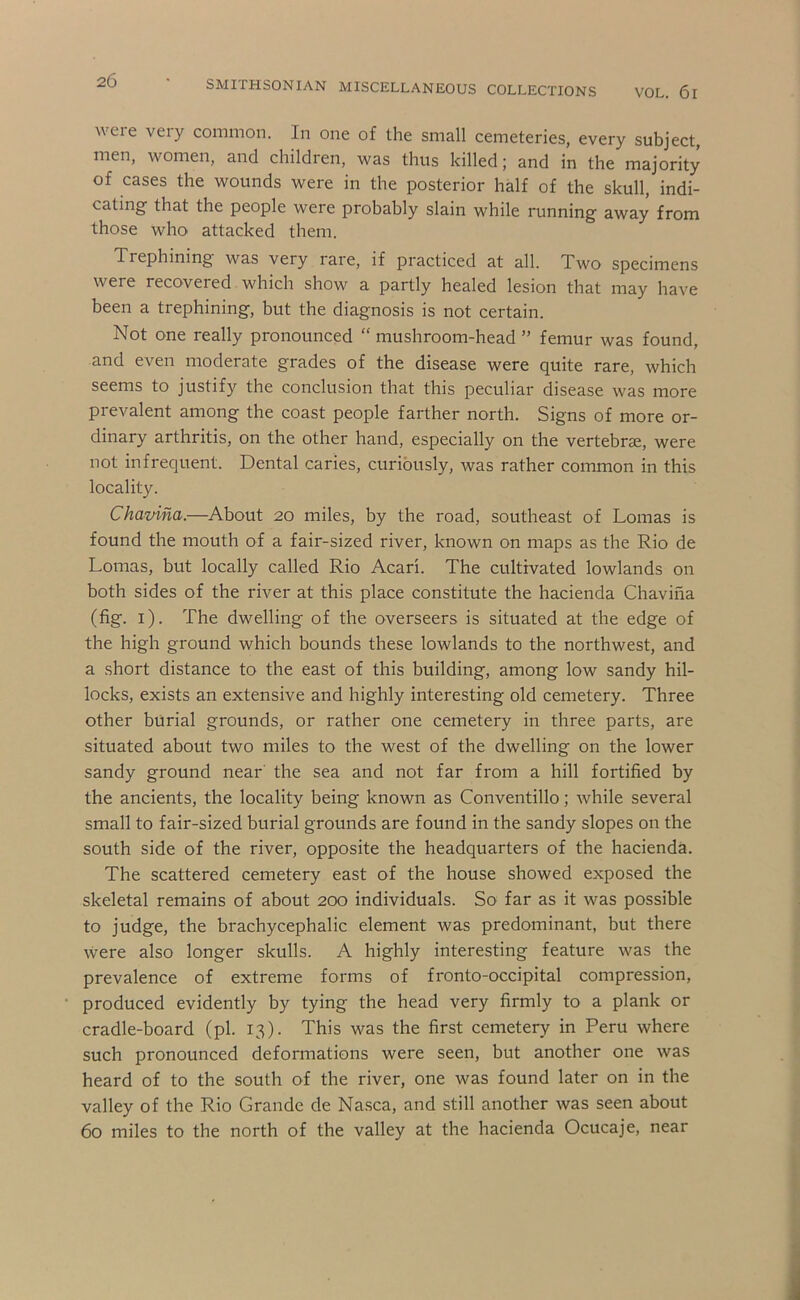 were very common. In one of the small cemeteries, every subject, men, women, and children, was thus killed; and in the majority of cases the wounds were in the posterior half of the skull, indi- cating’ that the people were probably slain while running away from those who attacked them. Trephining was very rare, if practiced at all. Two specimens were recovered which show a partly healed lesion that may have been a trephining, but the diagnosis is not certain. Not one really pronounced “ mushroom-head ” femur was found, and even moderate grades of the disease were quite rare, which seems to justify the conclusion that this peculiar disease was more prevalent among the coast people farther north. Signs of more or- dinary arthritis, on the other hand, especially on the vertebrae, were not infrequent. Dental caries, curiously, was rather common in this locality. Chavina.—About 20 miles, by the road, southeast of Lomas is found the mouth of a fair-sized river, known on maps as the Rio de Lomas, but locally called Rio Acari. The cultivated lowlands on both sides of the river at this place constitute the hacienda Chaviha (fig. i). The dwelling of the overseers is situated at the edge of the high ground which bounds these lowlands to the northwest, and a short distance to the east of this building, among low sandy hil- locks, exists an extensive and highly interesting old cemetery. Three other burial grounds, or rather one cemetery in three parts, are situated about two miles to the west of the dwelling on the lower sandy ground near the sea and not far from a hill fortified by the ancients, the locality being known as Conventillo; while several small to fair-sized burial grounds are found in the sandy slopes on the south side of the river, opposite the headquarters of the hacienda. The scattered cemetery east of the house showed exposed the skeletal remains of about 200 individuals. So far as it was possible to judge, the brachycephalic element was predominant, but there were also longer skulls. A highly interesting feature was the prevalence of extreme forms of fronto-occipital compression, produced evidently by tying the head very firmly to a plank or cradle-board (pi. 13). This was the first cemetery in Peru where such pronounced deformations were seen, but another one was heard of to the south of the river, one was found later on in the valley of the Rio Grande de Nasca, and still another was seen about 60 miles to the north of the valley at the hacienda Ocucaje, near