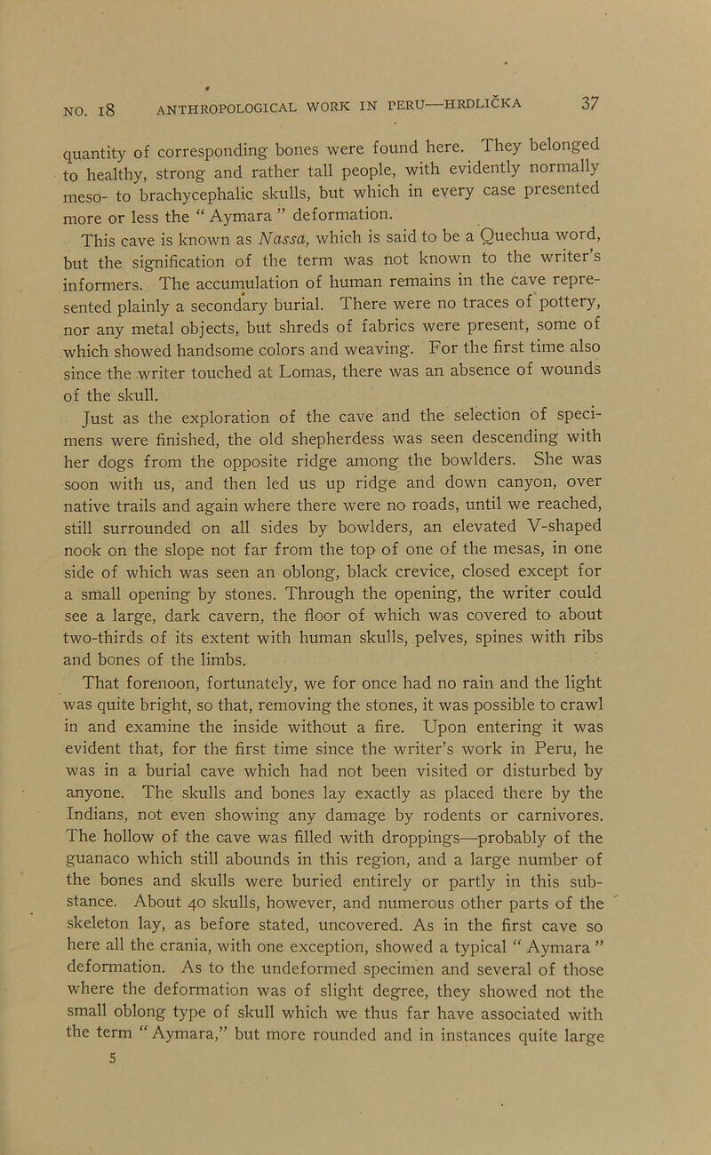 quantity of corresponding bones w'ere found here. They belonged to healthy, strong and rather tall people, with evidently normally meso- to brachycephalic skulls, but which in every case presented more or less the “ Aymara ” deformation. This cave is known as Nassa, which is said to be a Quechua word, but the signification of the term was not known to the writer s informers. The accumulation of human remains in the cave repre- sented plainly a secondary burial. There were no traces of pottery, nor any metal objects, but shreds of fabrics were present, some of which showed handsome colors and weaving. For the first time also since the writer touched at Lomas, there was an absence of wounds of the skull. Just as the exploration of the cave and the selection of speci- mens were finished, the old shepherdess was seen descending with her dogs from the opposite ridge among the bowlders. She was soon with us, and then led us up ridge and down canyon, over native trails and again where there were no roads, until we reached, still surrounded on all sides by bowlders, an elevated V-shaped nook on the slope not far from the top of one of the mesas, in one side of which was seen an oblong, black crevice, closed except for a small opening by stones. Through the opening, the writer could see a large, dark cavern, the floor of which was covered to about two-thirds of its extent with human skulls, pelves, spines with ribs and bones of the limbs. That forenoon, fortunately, we for once had no rain and the light was quite bright, so that, removing the stones, it was possible to crawl in and examine the inside without a fire. Upon entering it was evident that, for the first time since the writer’s work in Peru, he was in a burial cave which had not been visited or disturbed by anyone. The skulls and bones lay exactly as placed there by the Indians, not even showing any damage by rodents or carnivores. The hollow of the cave was filled with droppings—probably of the guanaco which still abounds in this region, and a large number of the bones and skulls were buried entirely or partly in this sub- stance. About 40 skulls, however, and numerous other parts of the skeleton lay, as before stated, uncovered. As in the first cave so here all the crania, with one exception, showed a typical “ Aymara ” deformation. As to the undeformed specimen and several of those where the deformation was of slight degree, they showed not the small oblong type of skull which we thus far have associated with the term “ Aymara,” but more rounded and in instances quite large S