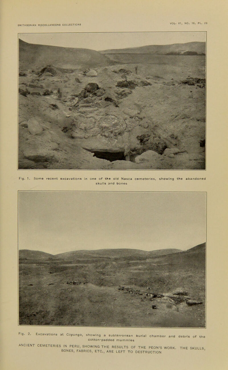 VOL* 61, NO. 18, PL. 23 Fig. 1. Some recent excavations in one of the old Nasca cemeteries, showing the abandoned skulls and bones Fig. 2. Excavations at Coyungo, showing a subterranean burial chamber and debris of the cotton-padded mummies ANCIENT CEMETERIES IN PERU, SHOWING THE RESULTS OF THE PEON’S WORK. THE SKULLS BONES, FABRICS, ETC., ARE LEFT TO DESTRUCTION ’