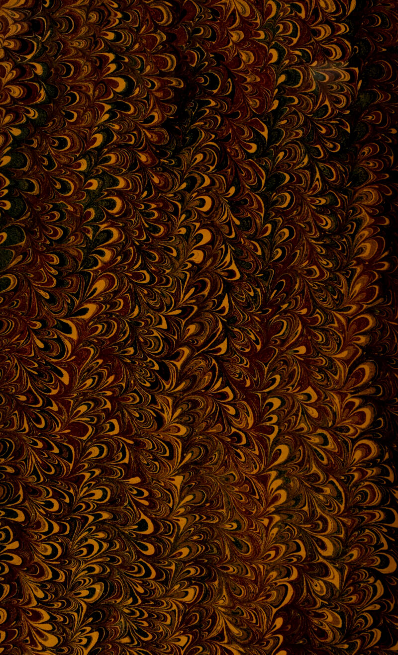 No text description is available for this image