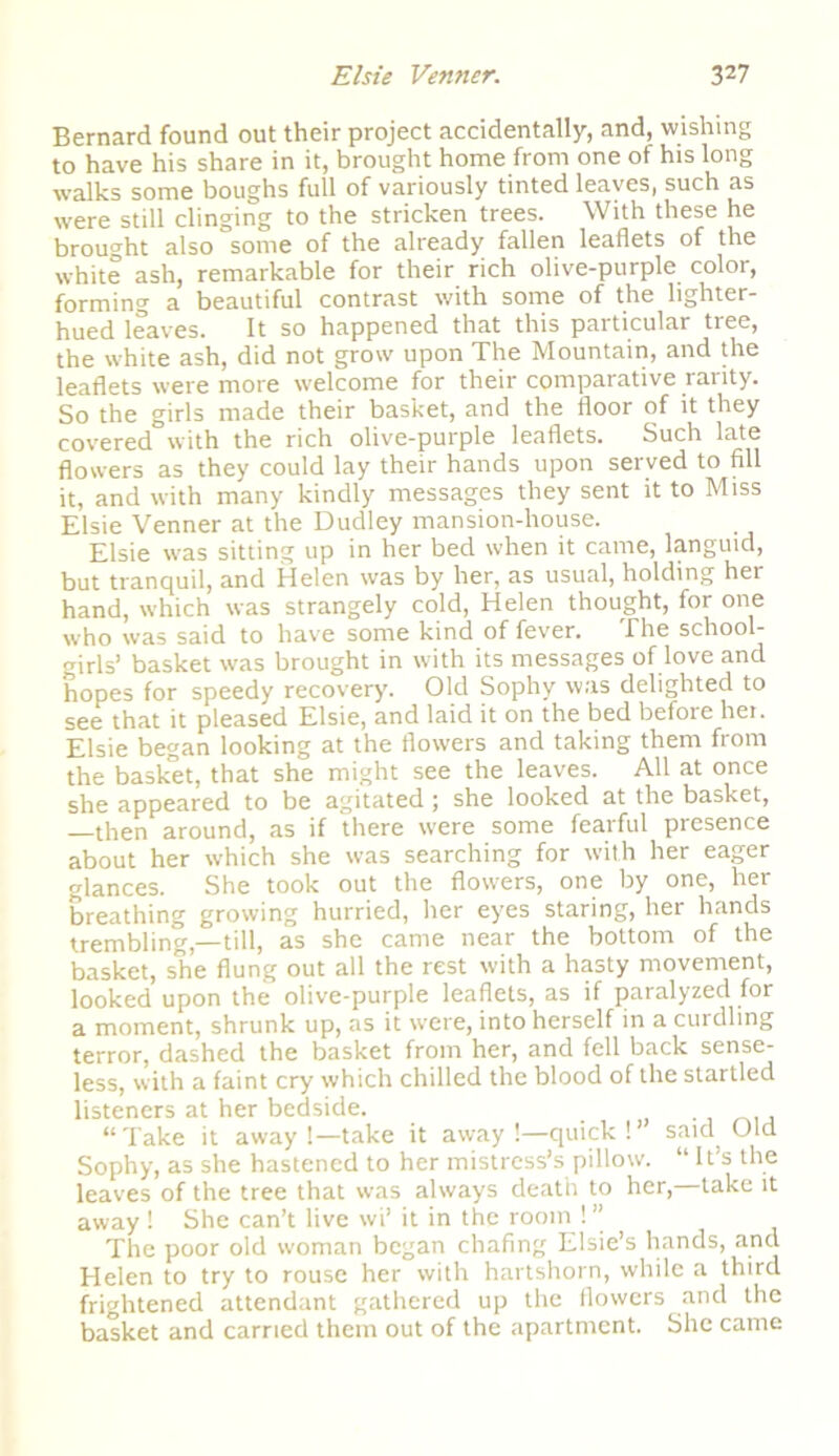 Bernard found out their project accidentally, and, wishing to have his share in it, brought home from one of his long •walks some boughs full of variously tinted leaves, such as were still clinging to the stricken trees. With these he brought also °some of the already fallen leaflets of the white ash, remarkable for their rich olive-purple color, forming a beautiful contrast with some of the lighter- hued leaves. It so happened that this particular tree, the white ash, did not grow upon The Mountain, and the leaflets were more welcome for their comparative rarity. So the girls made their basket, and the floor of it they covered°with the rich olive-purple leaflets. Such late flowers as they could lay their hands upon served to fill it, and with many kindly messages they sent it to Miss Elsie Venner at the Dudley mansion-house. Elsie was sitting up in her bed when it came, languid, but tranquil, and Helen was by her, as usual, holding her hand, which was strangely cold, Helen thought, for one who was said to have some kind of fever. The school- girls’ basket was brought in with its messages of love and hopes for speedy recovery. Old Sophy was delighted to see that it pleased Elsie, and laid it on the bed before her. Elsie began looking at the flowers and taking them from the basket, that she might see the leaves. All at once she appeared to be agitated j she looked at the basket, —then around, as if there were some fearful presence about her which she was searching for with her eager glances. She took out the flowers, one by one, her breathing growing hurried, her eyes staring, her hands trembling,—till, as she came near the bottom of the basket, she flung out all the rest with a hasty movement, looked upon the olive-purple leaflets, as if paralyzed for a moment, shrunk up, as it were, into herself in a curdling terror, dashed the basket from her, and fell back sense- less, with a faint cry which chilled the blood of the startled listeners at her bedside. “Take it away !—take it away !—quick !’ said, Old Sophy, as she hastened to her mistress’s pillow. “It’s the leaves of the tree that was always death to her,—take it away ! She can’t live wi’ it in the room ! ’’ The poor old woman began chafing Elsie’s hands, and Helen to try to rouse her with hartshorn, while a third frightened attendant gathered up the flowers and the basket and carried them out of the apartment. She came